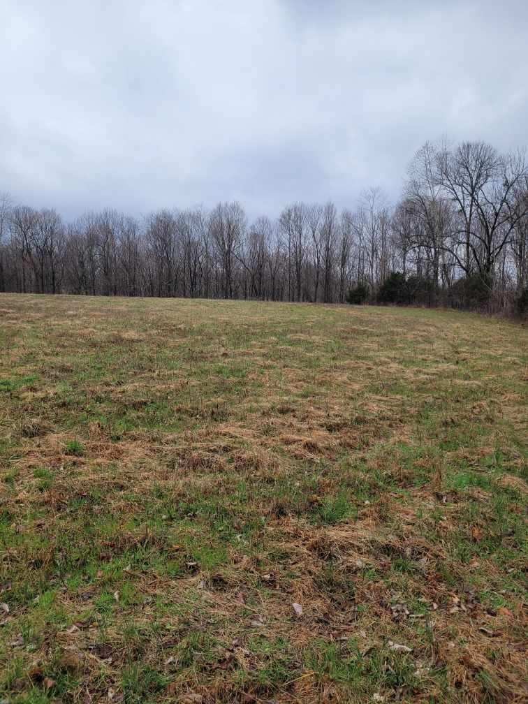 0 Goad Ridge Ln Property Photo 13