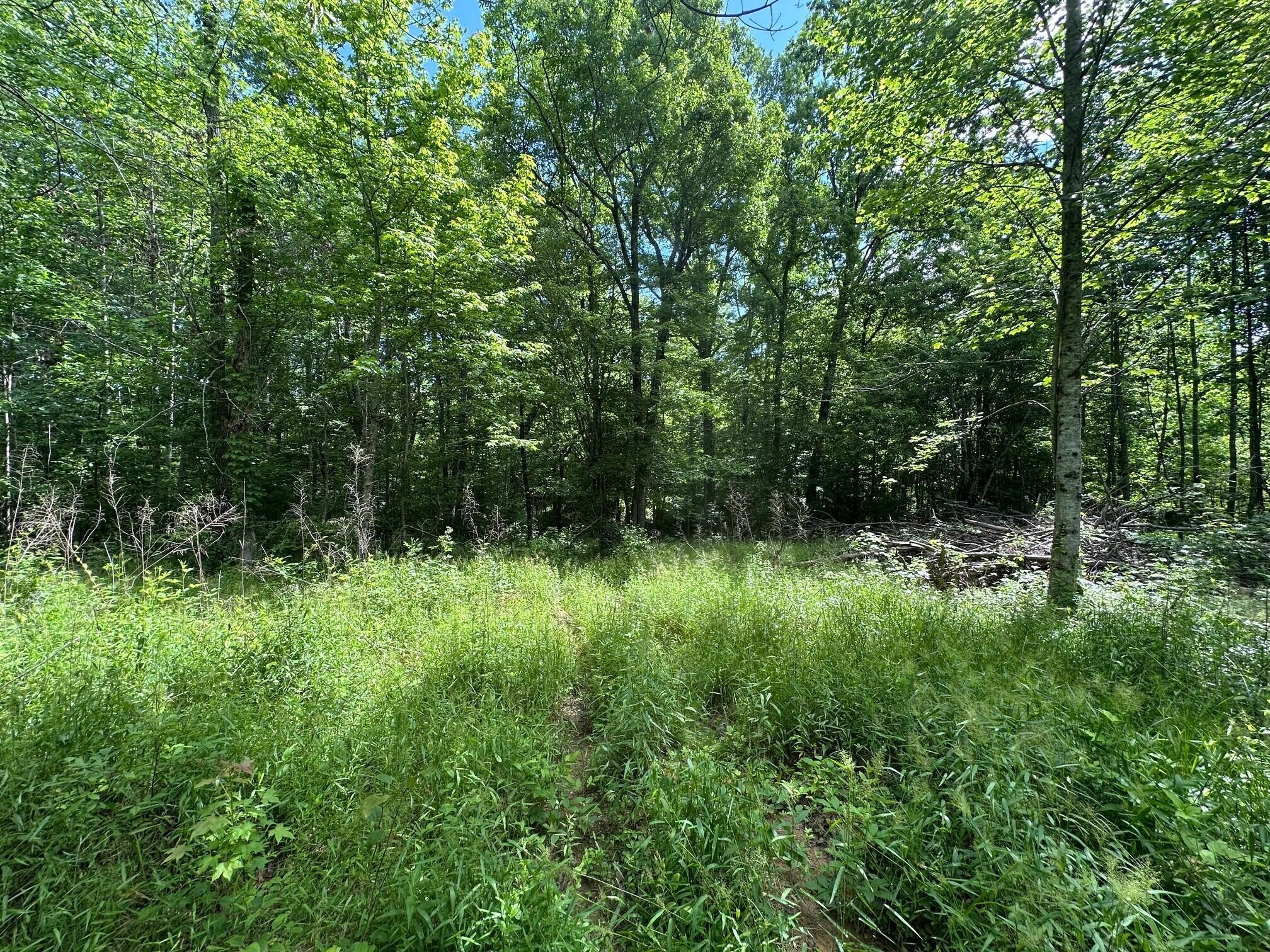 5201 Highway 150 Property Photo 1