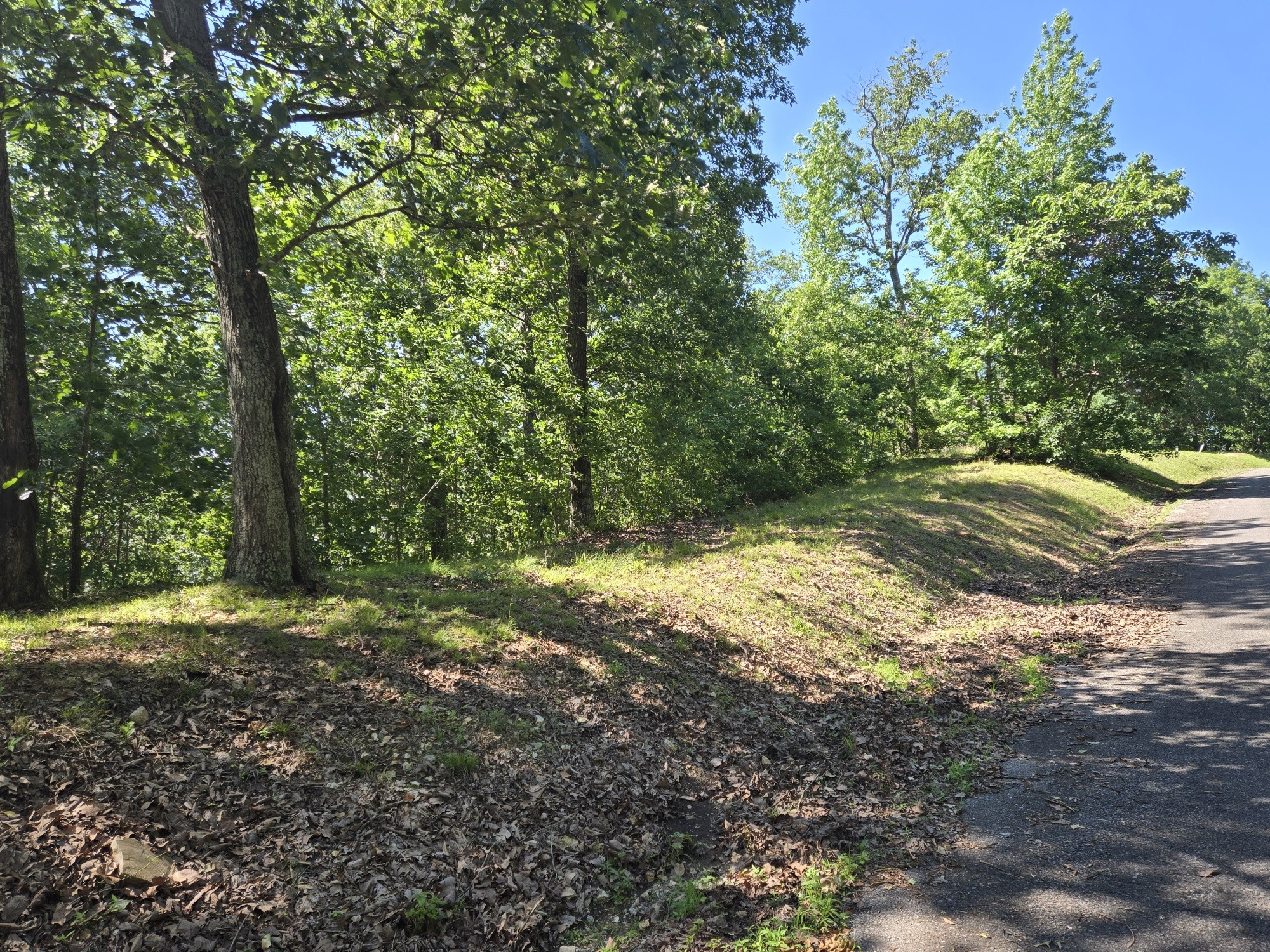 0 Sunset Ridge Property Photo 3