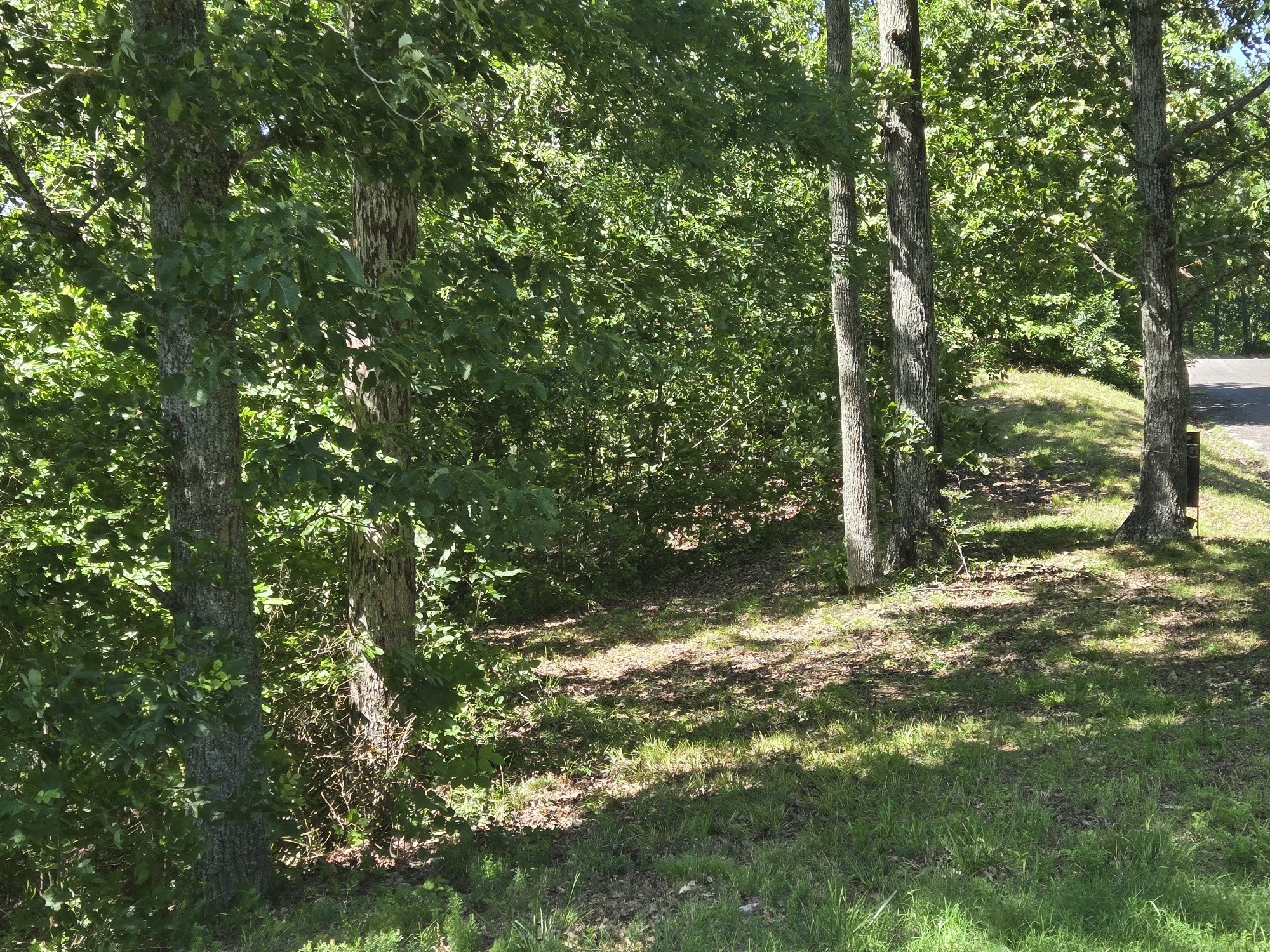 0 Sunset Ridge Property Photo 6