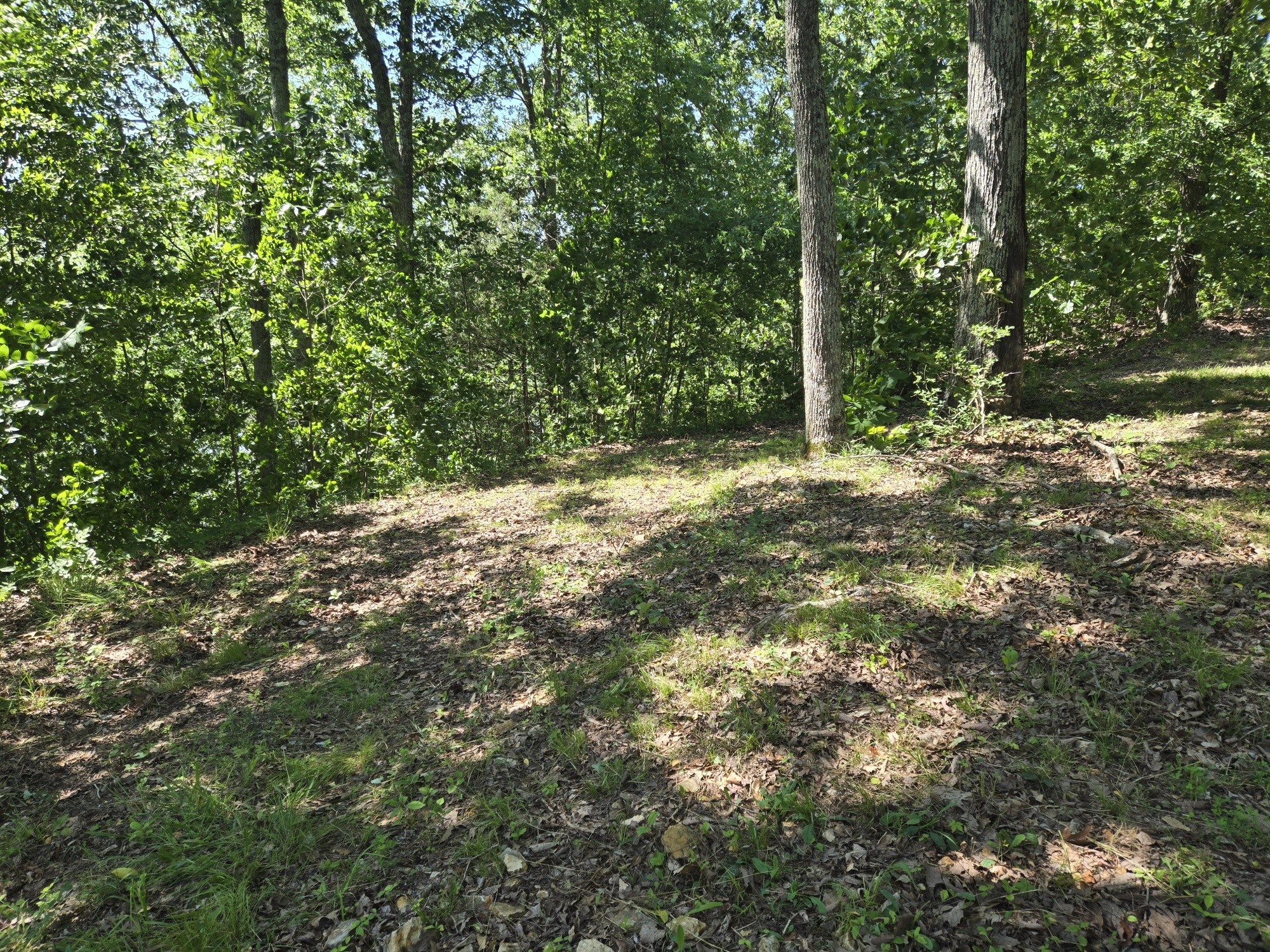 0 Sunset Ridge Property Photo 8