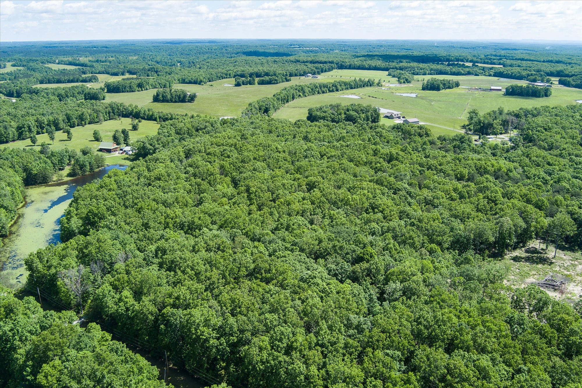 0 River Bluff Road Property Photo 3