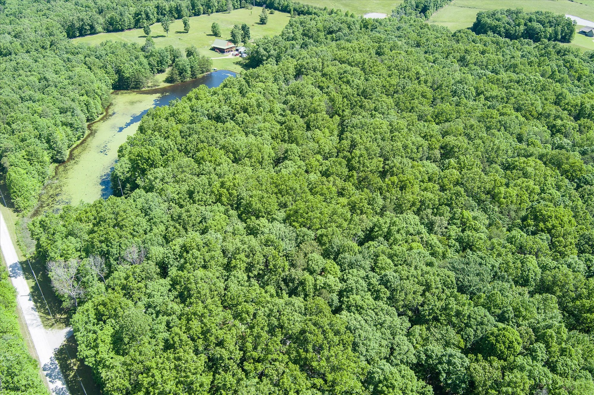 0 River Bluff Road Property Photo 6
