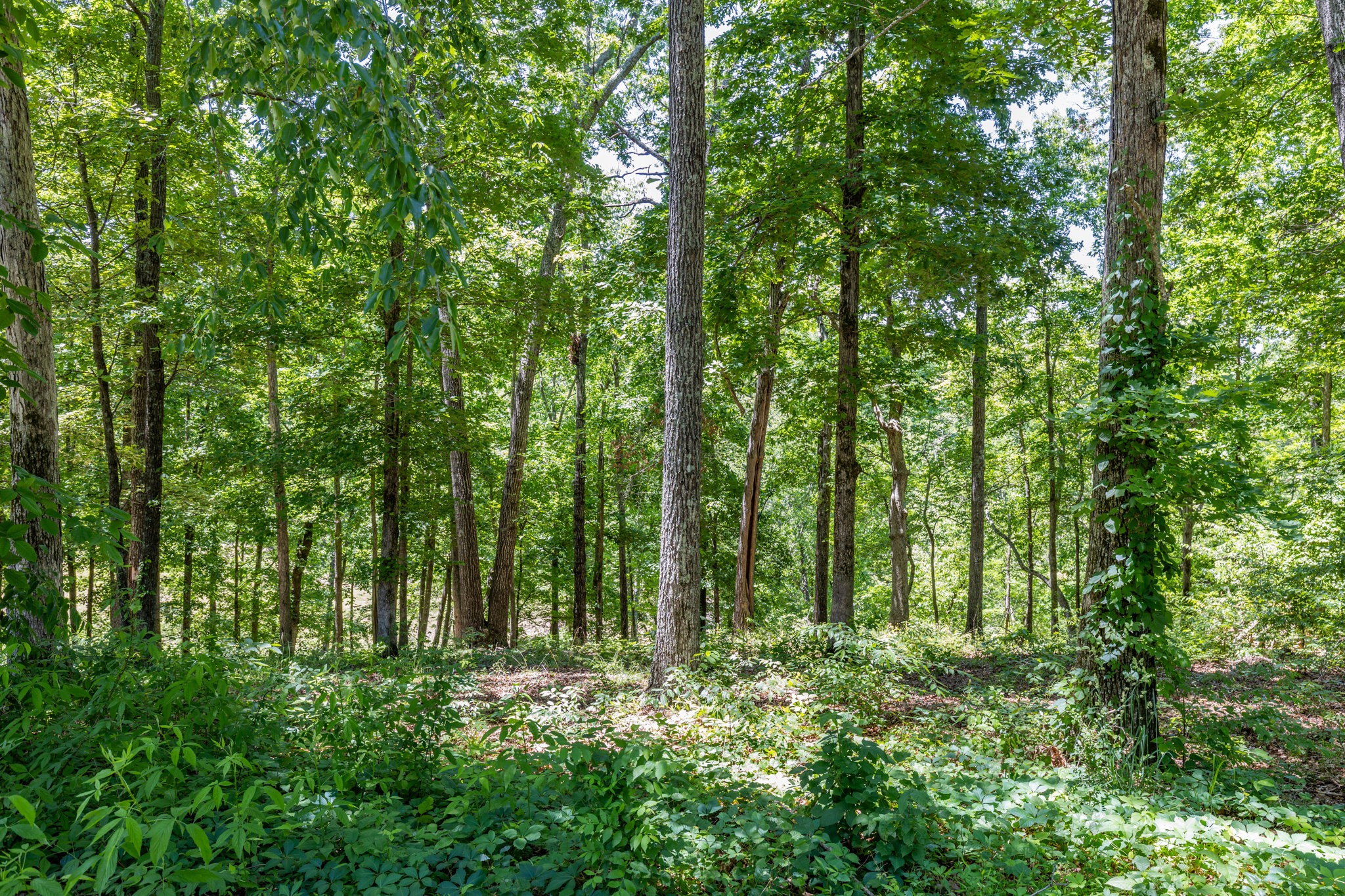 0 Fairway Circle Property Photo 27