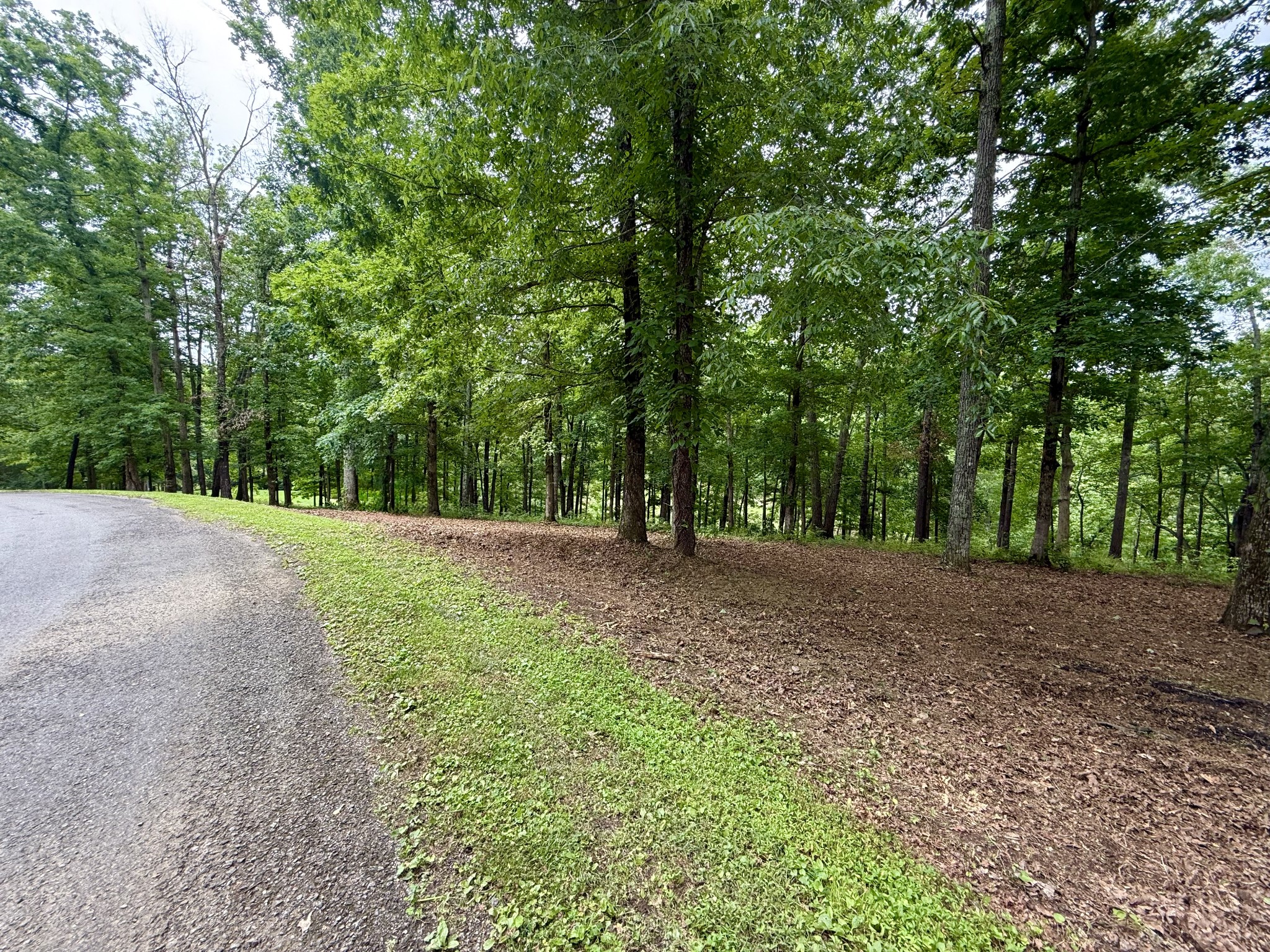 0 Fairway Circle Property Photo 36