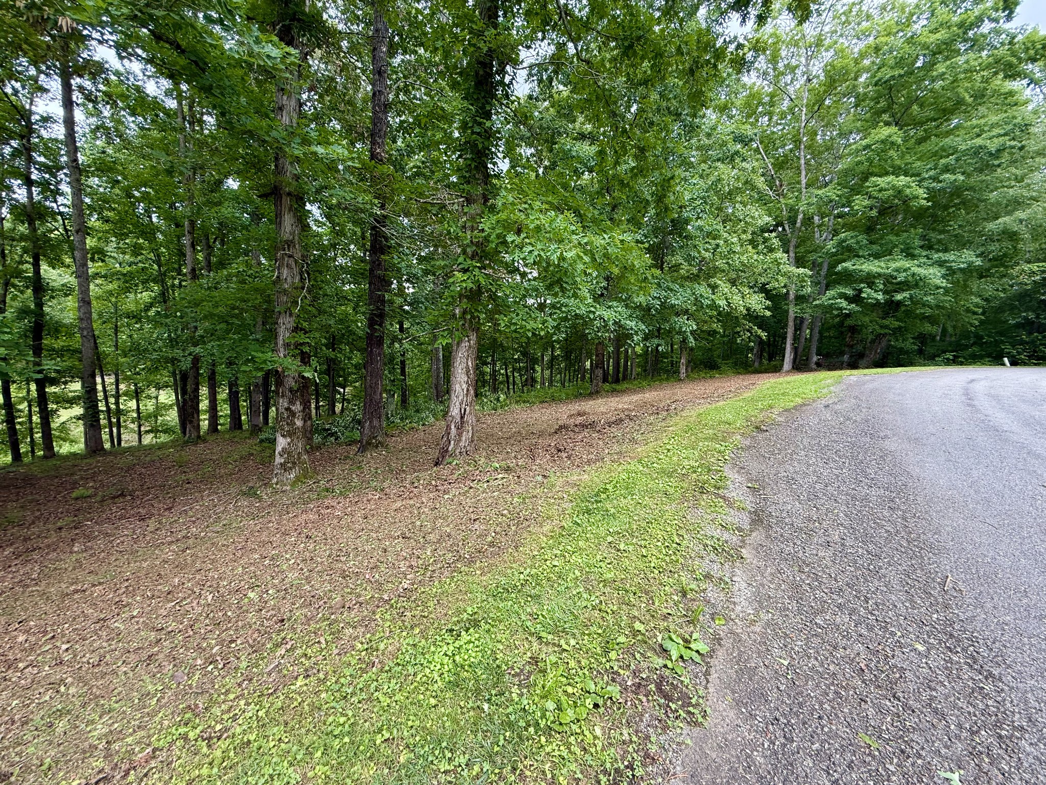 0 Fairway Circle Property Photo 37