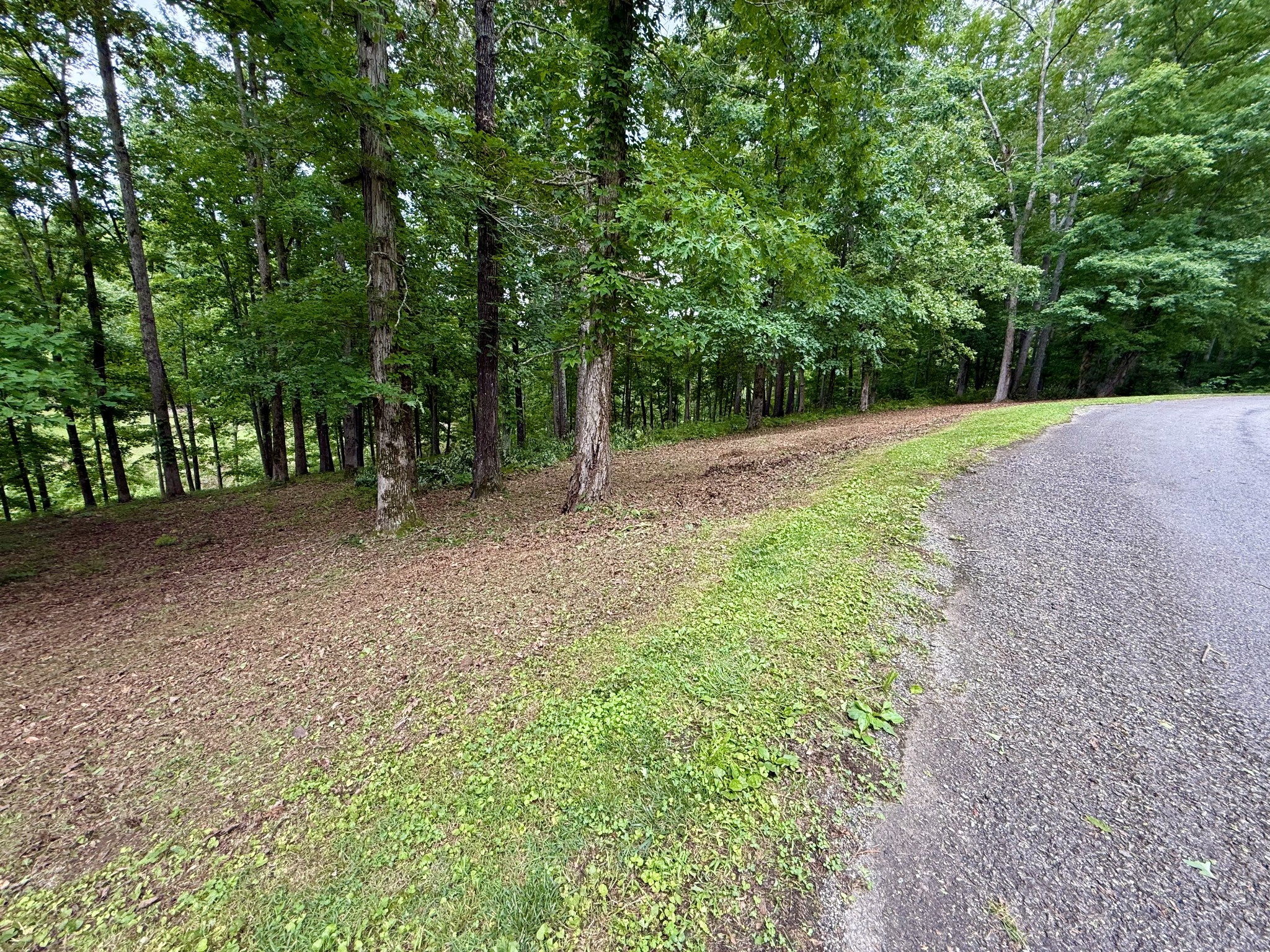 0 Fairway Circle Property Photo 38
