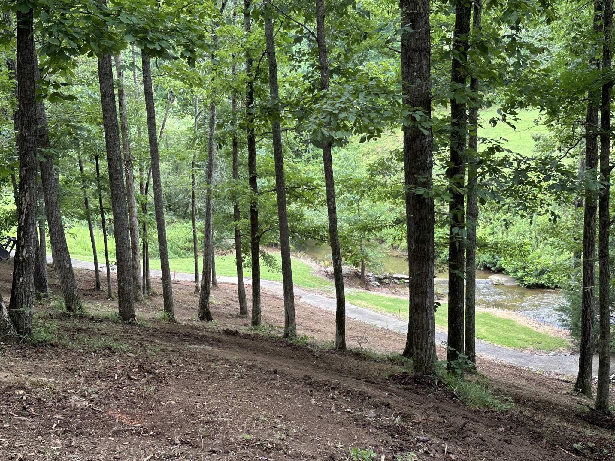 0 Fairway Circle Property Photo 48