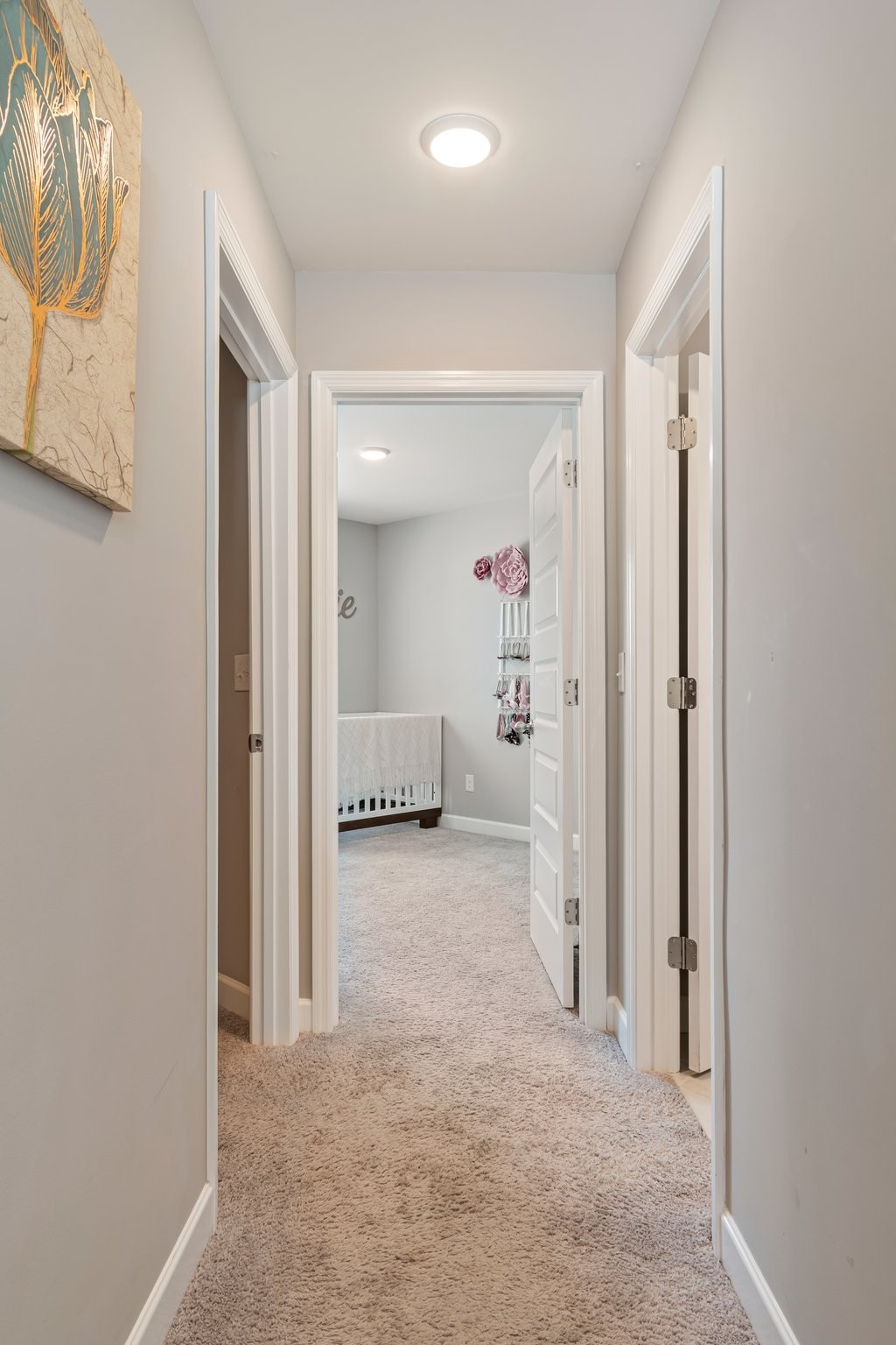 2552 Napa Valley Way Property Photo 13