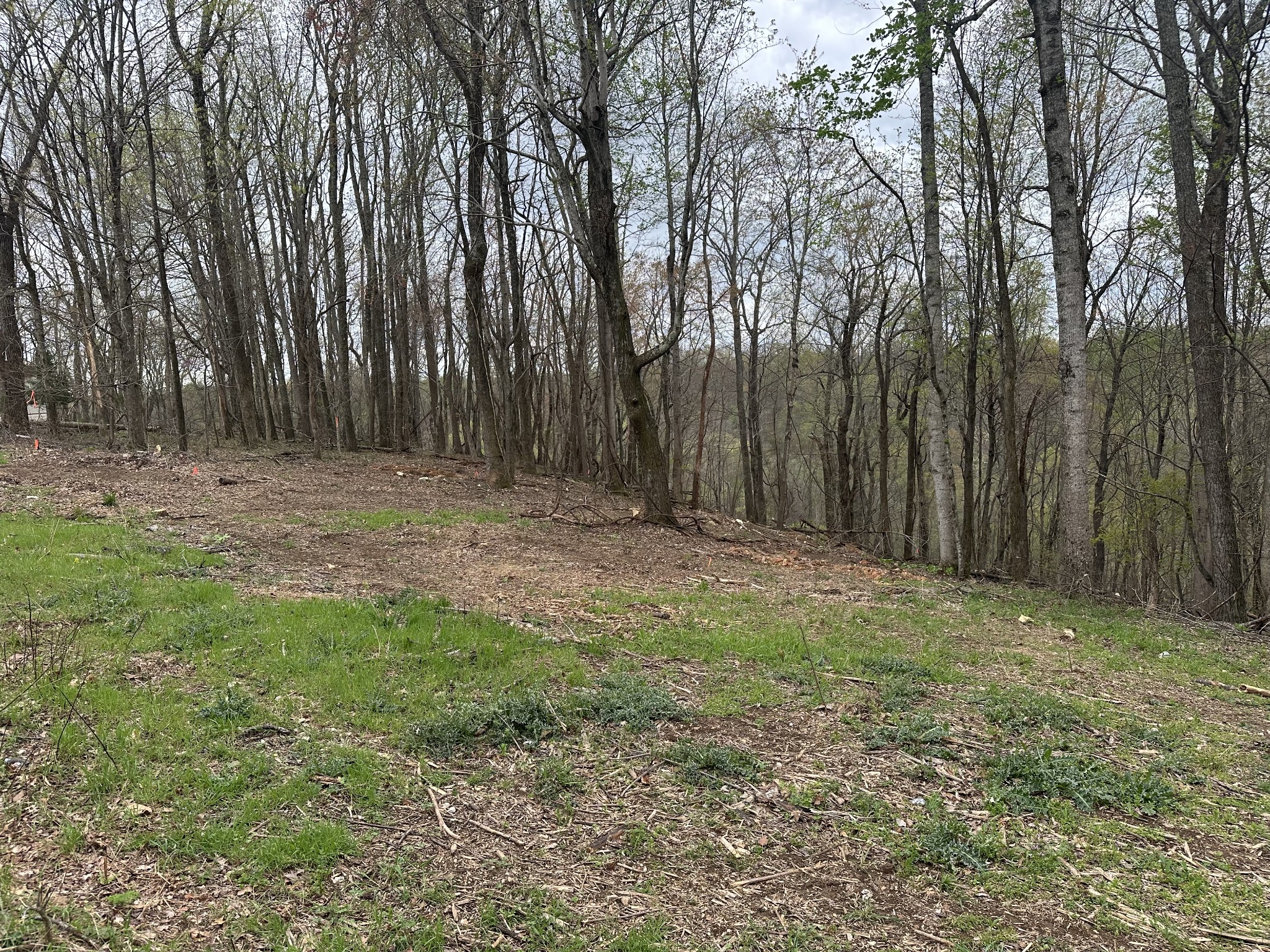 0 Maggart Rd Property Photo 1