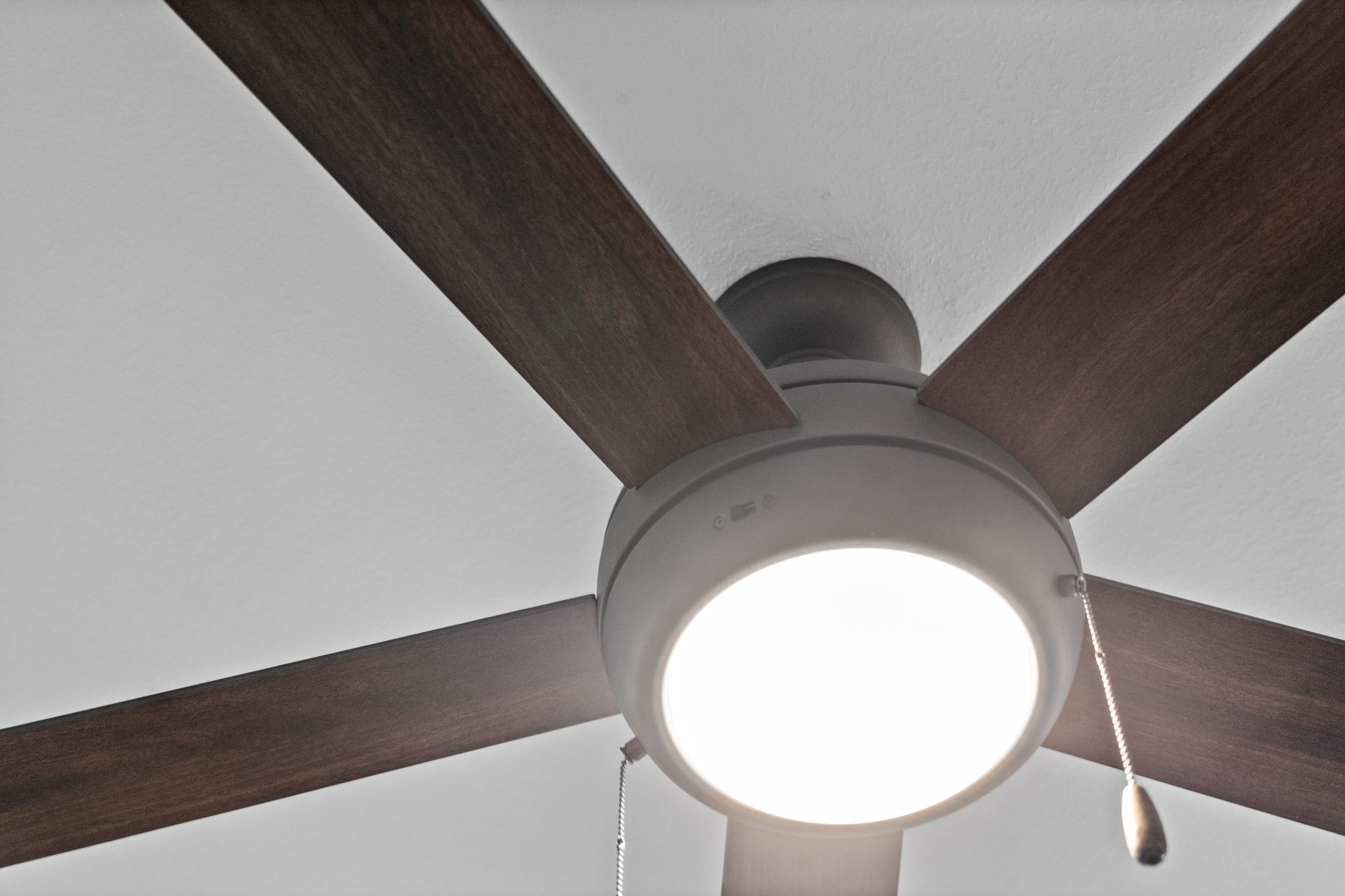 189 Dewberry Ct Property Photo 16