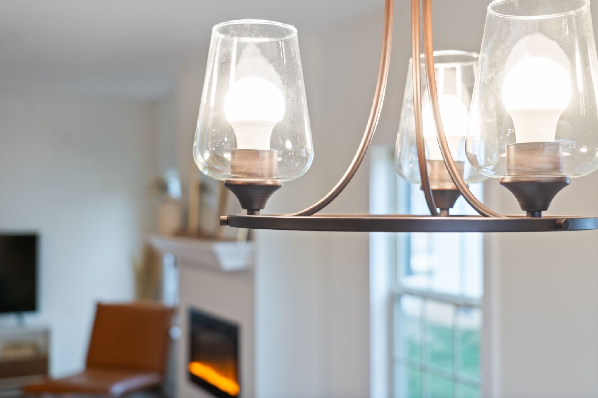 189 Dewberry Ct Property Photo 17