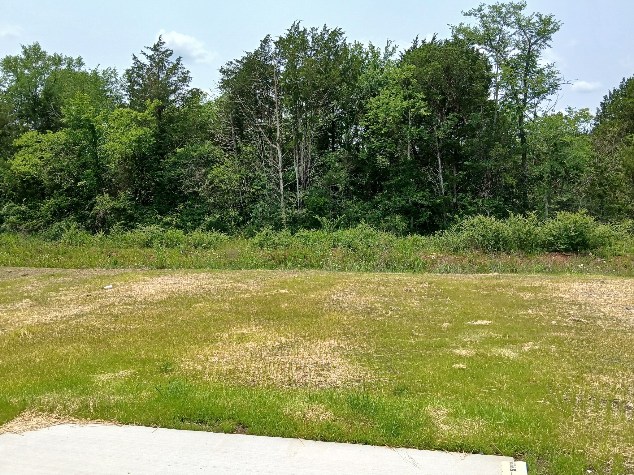 2113 Red Barn Road Property Photo 7