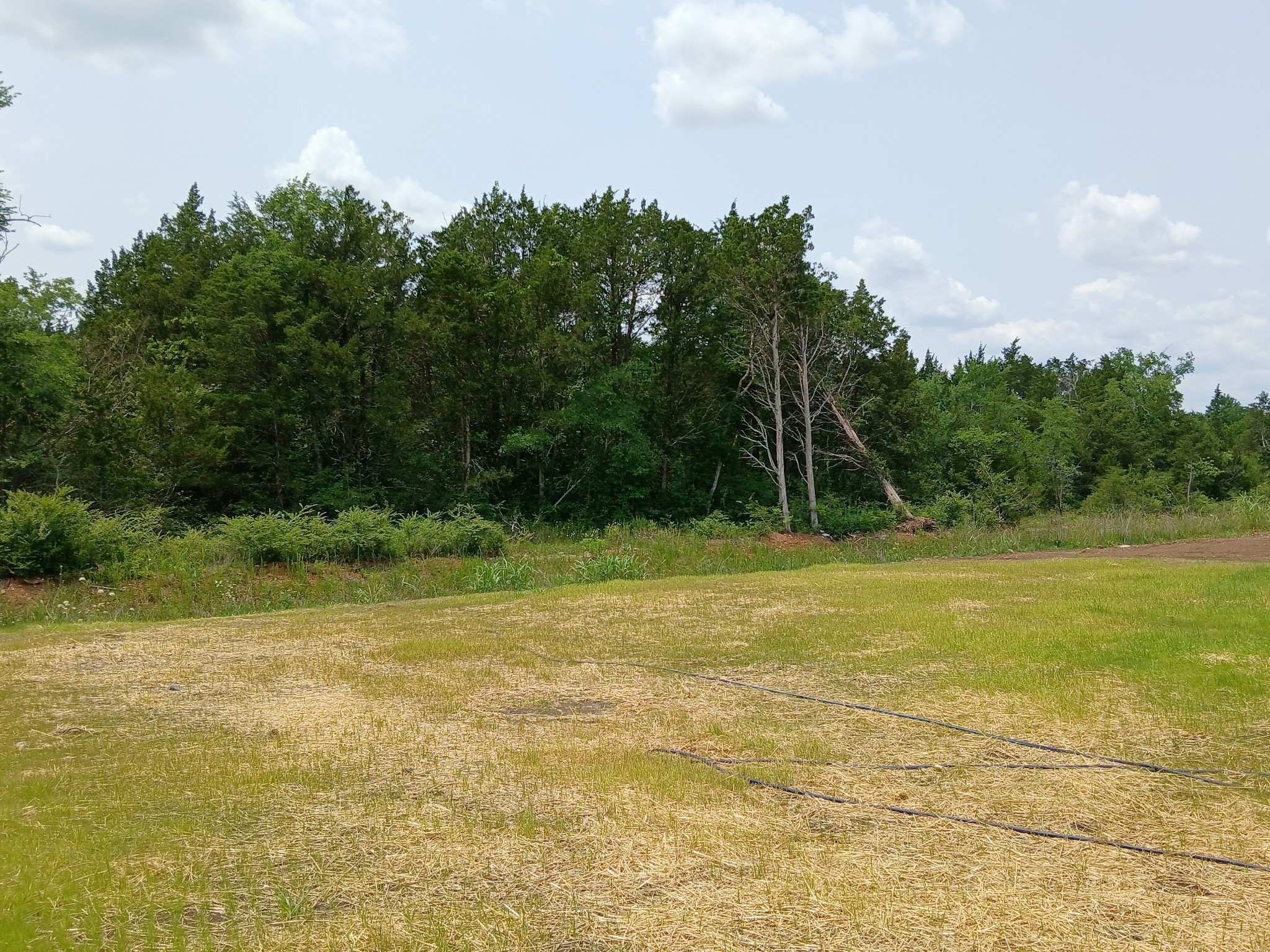 2113 Red Barn Road Property Photo 8