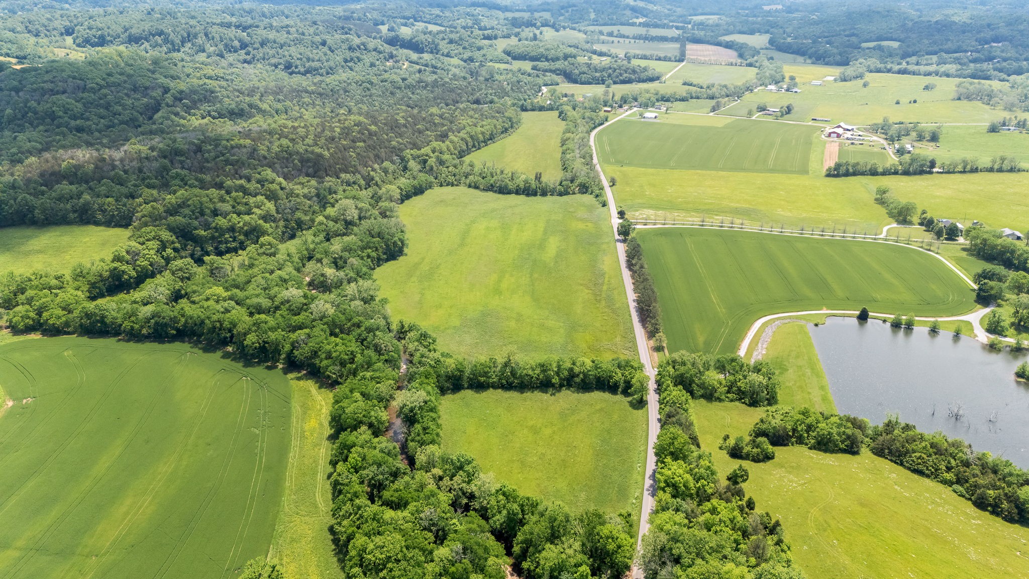0 Leipers Creek Road Property Photo 1