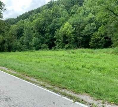 0 Wartrace Rd Property Photo 1