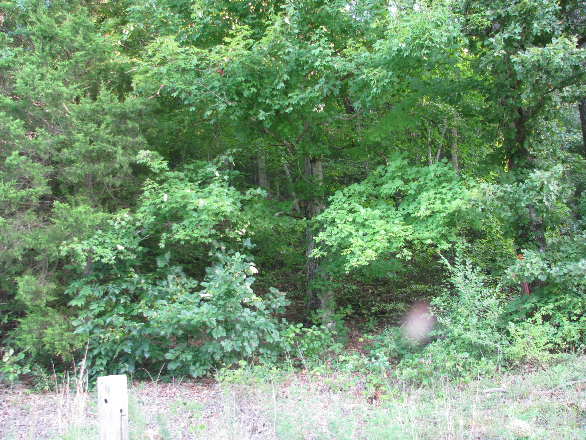0 West Little Richland Rd Property Photo