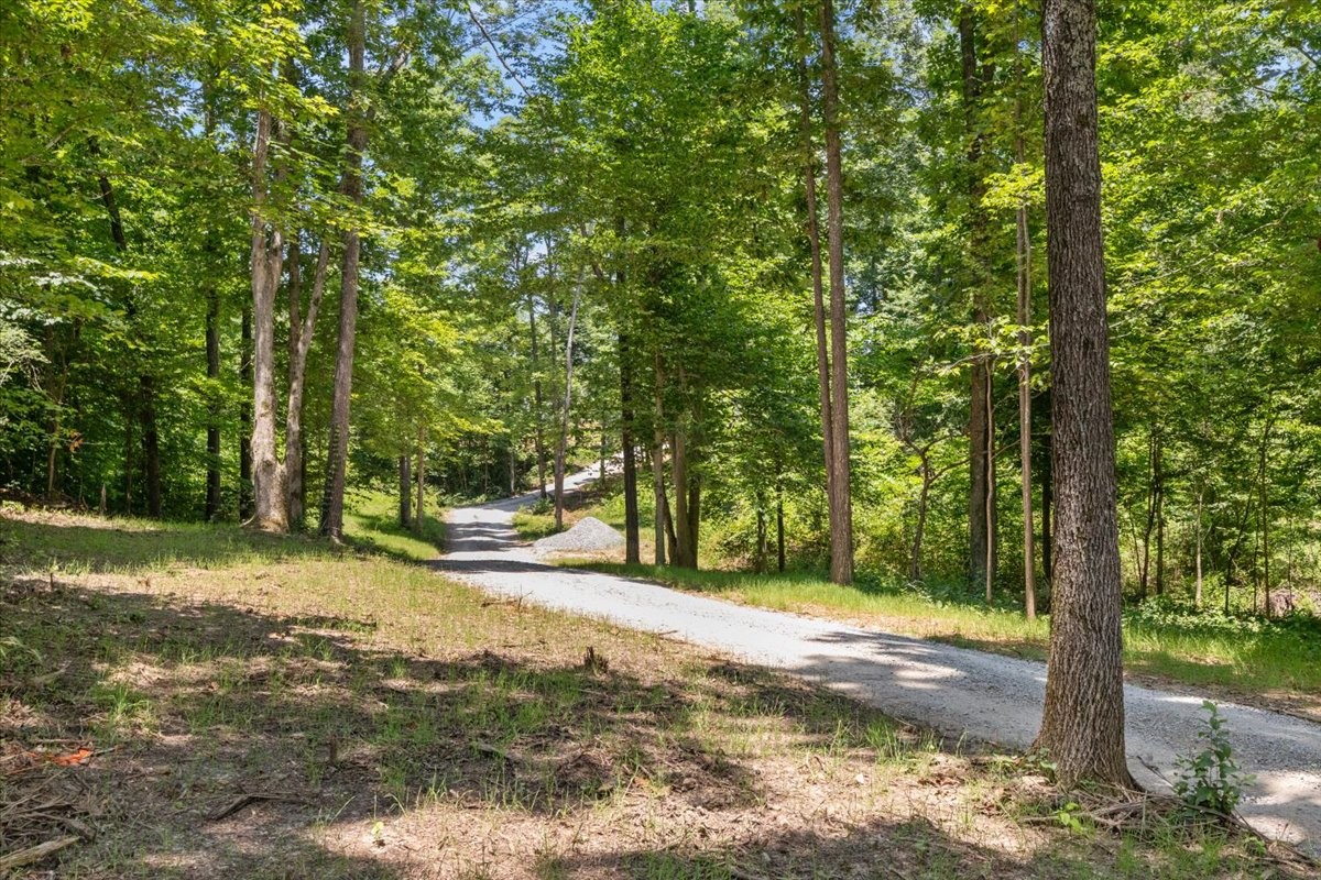 123 Thicket Ln Property Photo 29