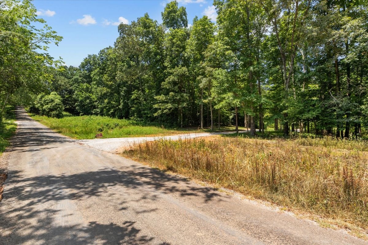 123 Thicket Ln Property Photo 35