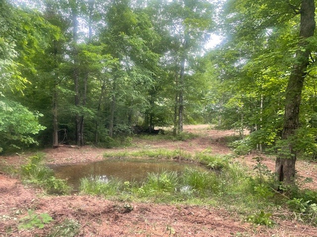 0 Mccollum Road Property Photo 1