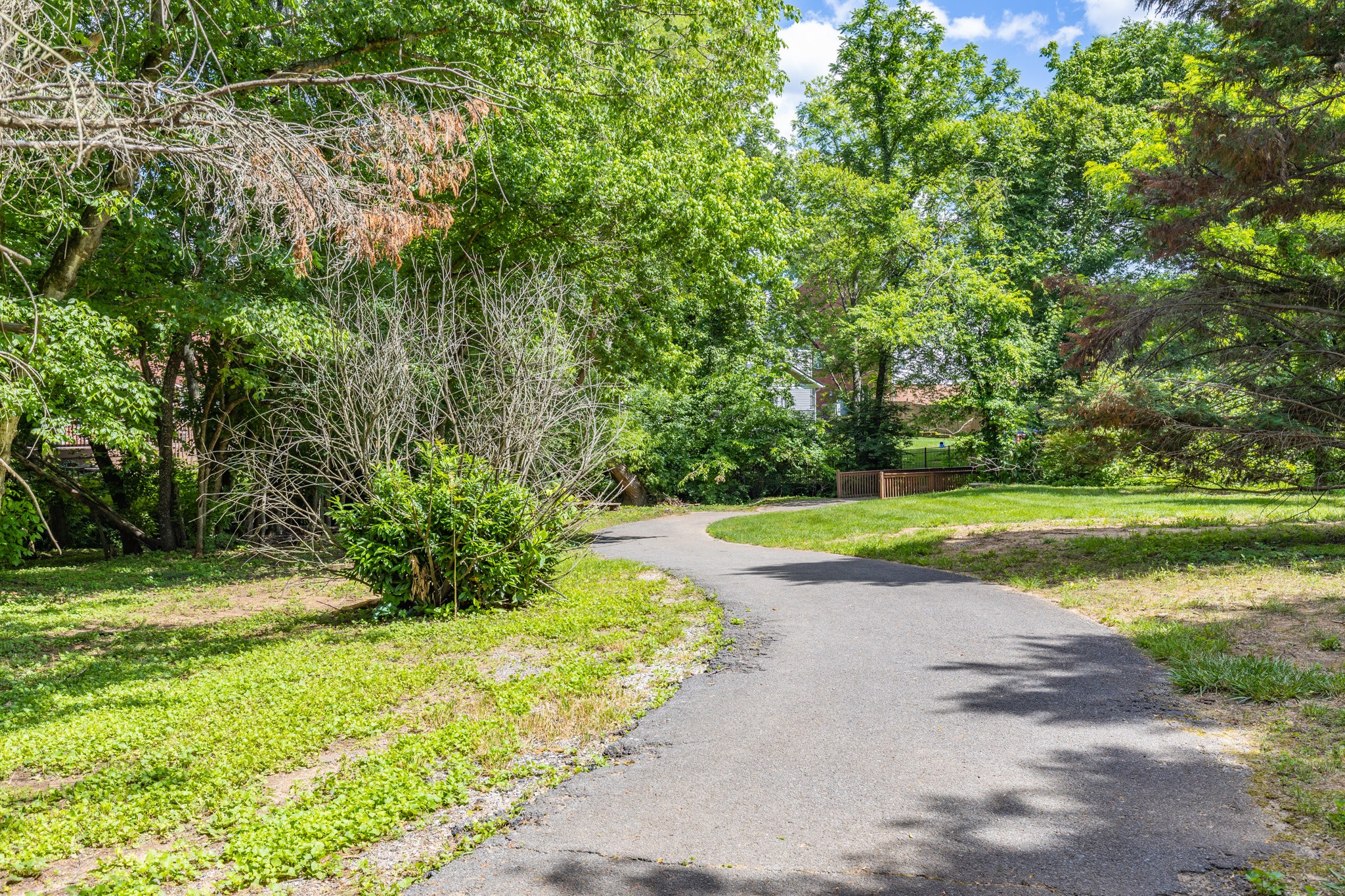 1154 Olde Cameron Ln Property Photo 48