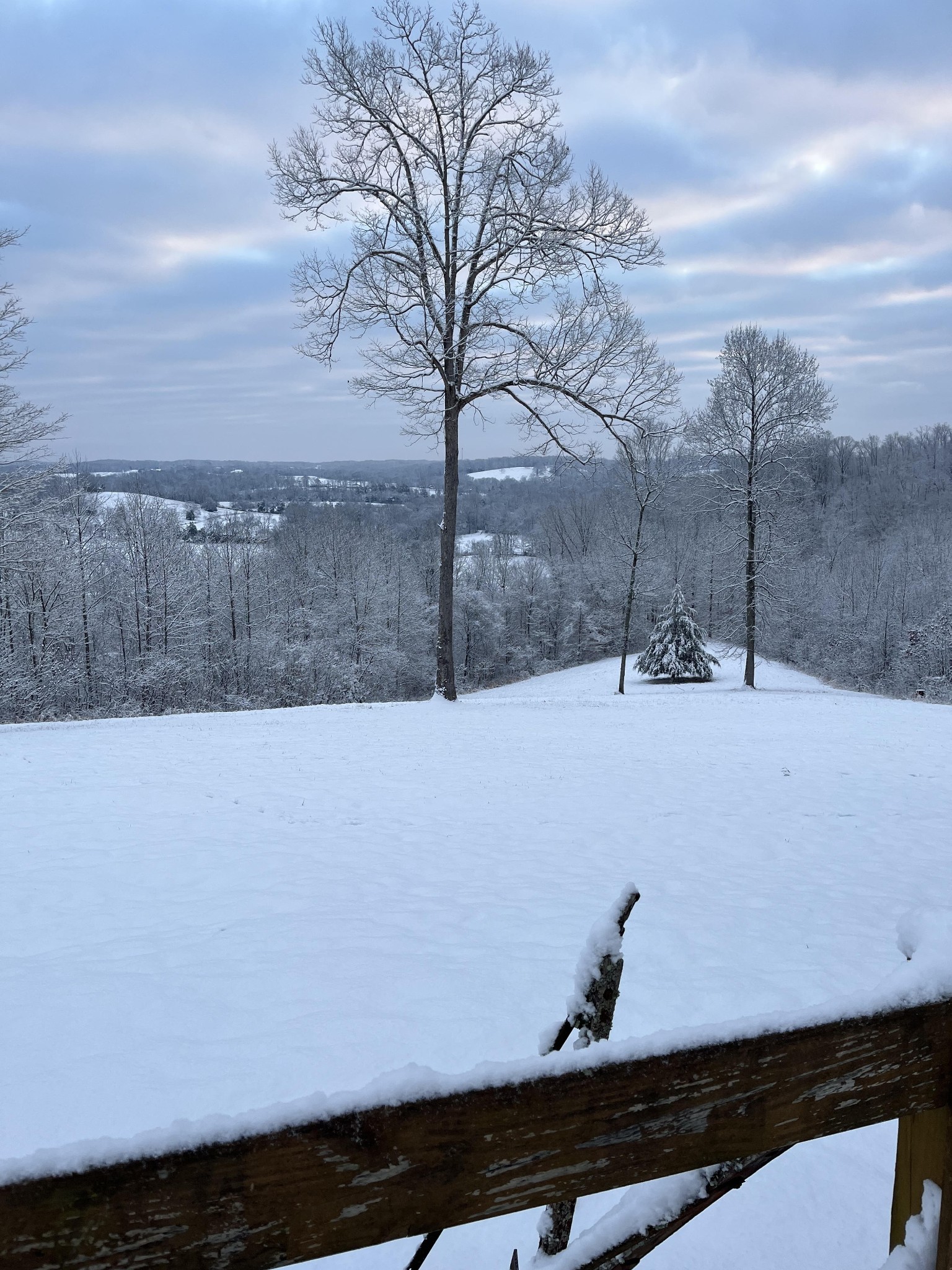 2270 Hwy 230, W Property Photo 66