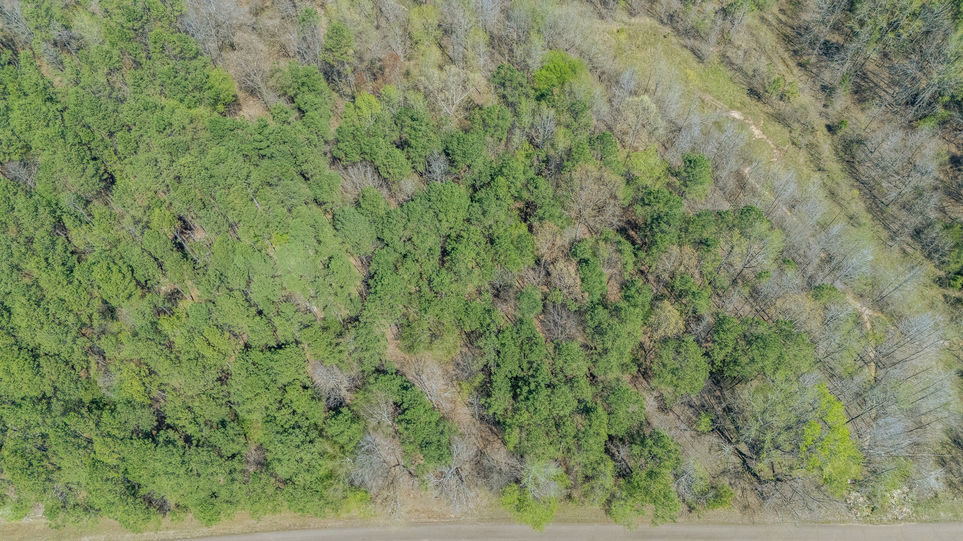 956 Fairway Dr Property Photo 1