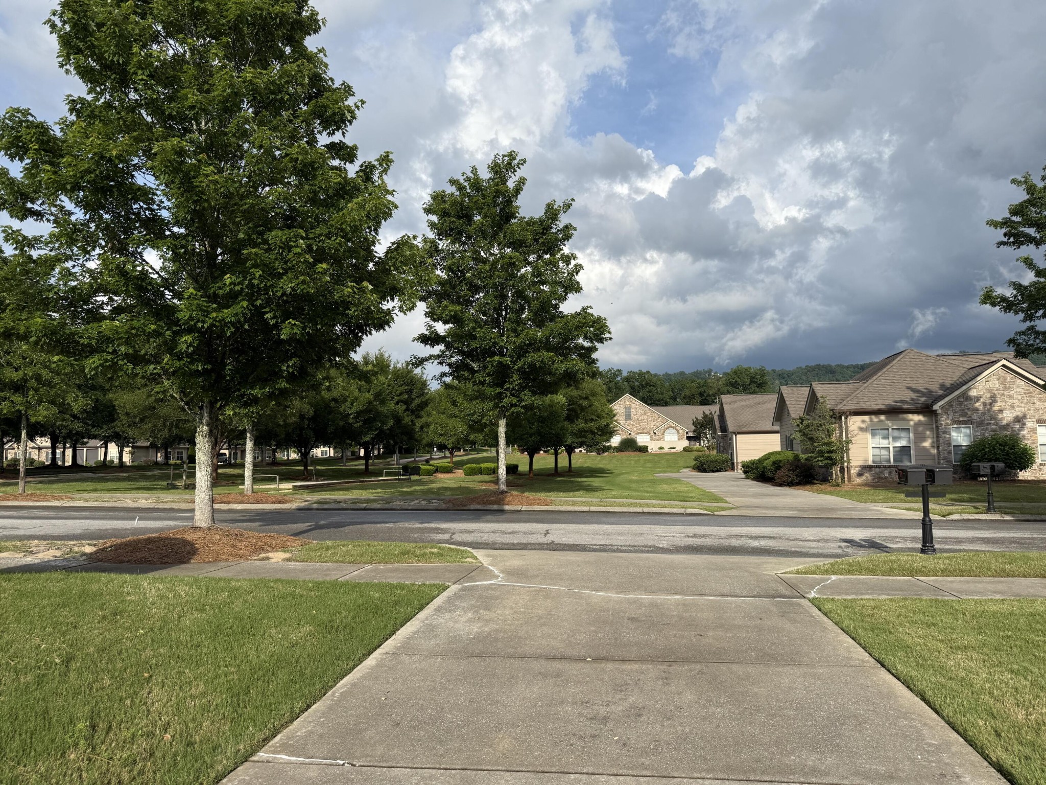 1428 Sedgefield Drive Property Photo 4