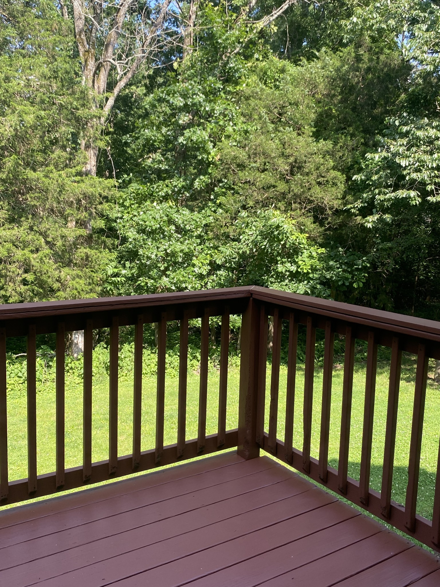 3373 Milbridge Dr Property Photo 48
