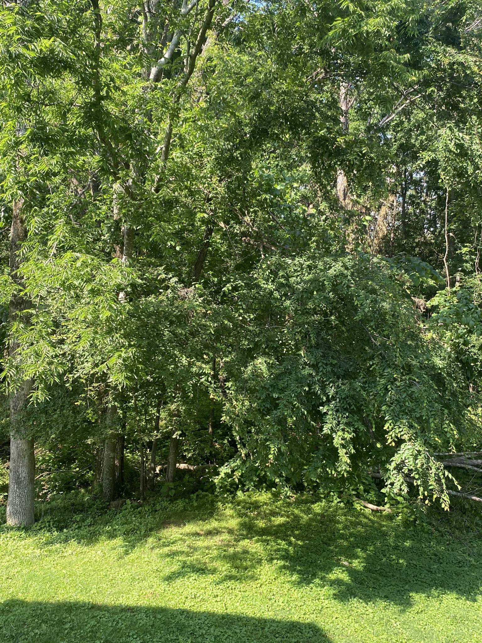 3373 Milbridge Dr Property Photo 51
