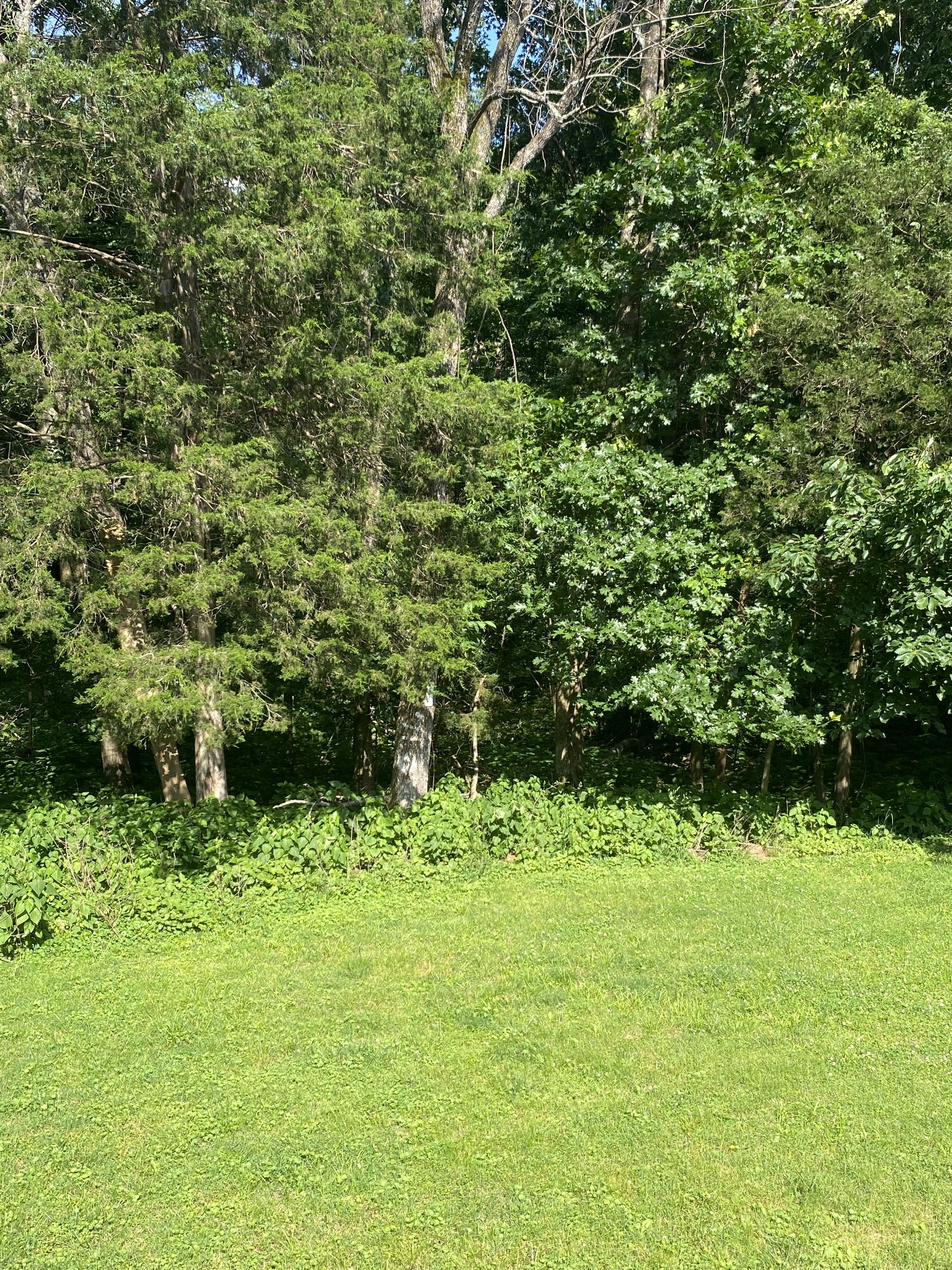 3373 Milbridge Dr Property Photo 53