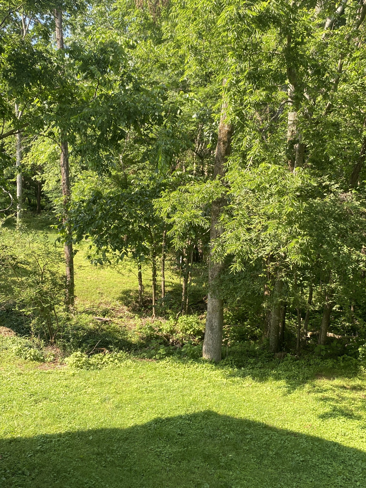 3373 Milbridge Dr Property Photo 54