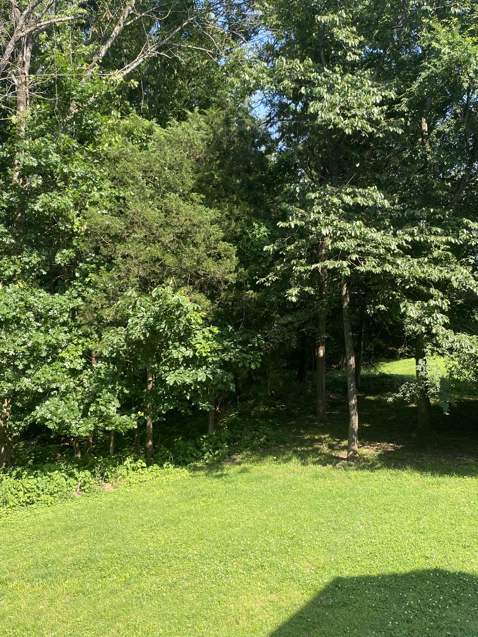 3373 Milbridge Dr Property Photo 55