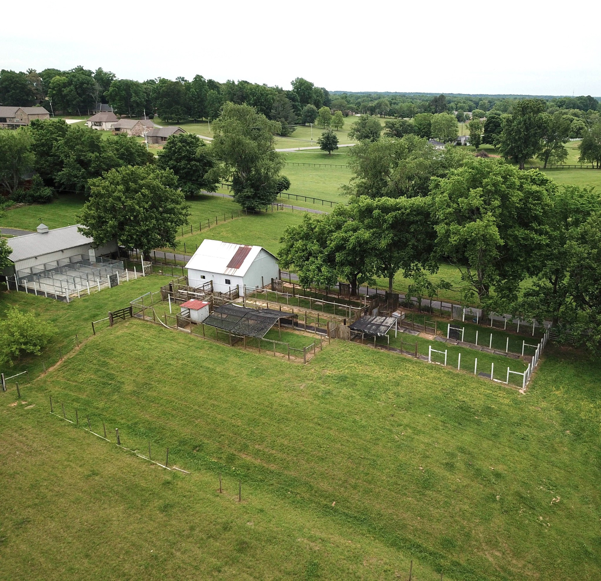 5148 Hwy 49w Property Photo 21