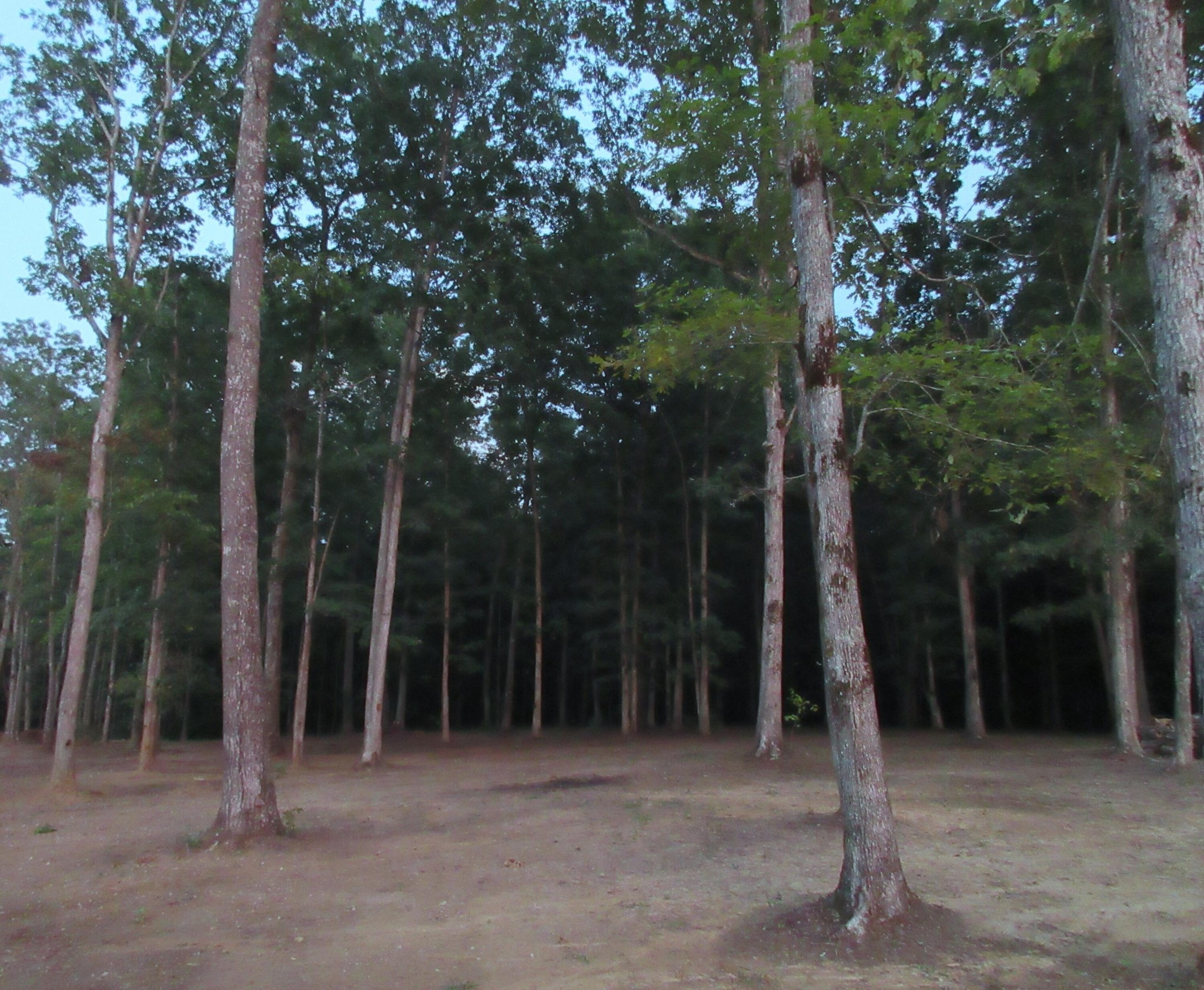 92 Destineys Way Property Photo 1