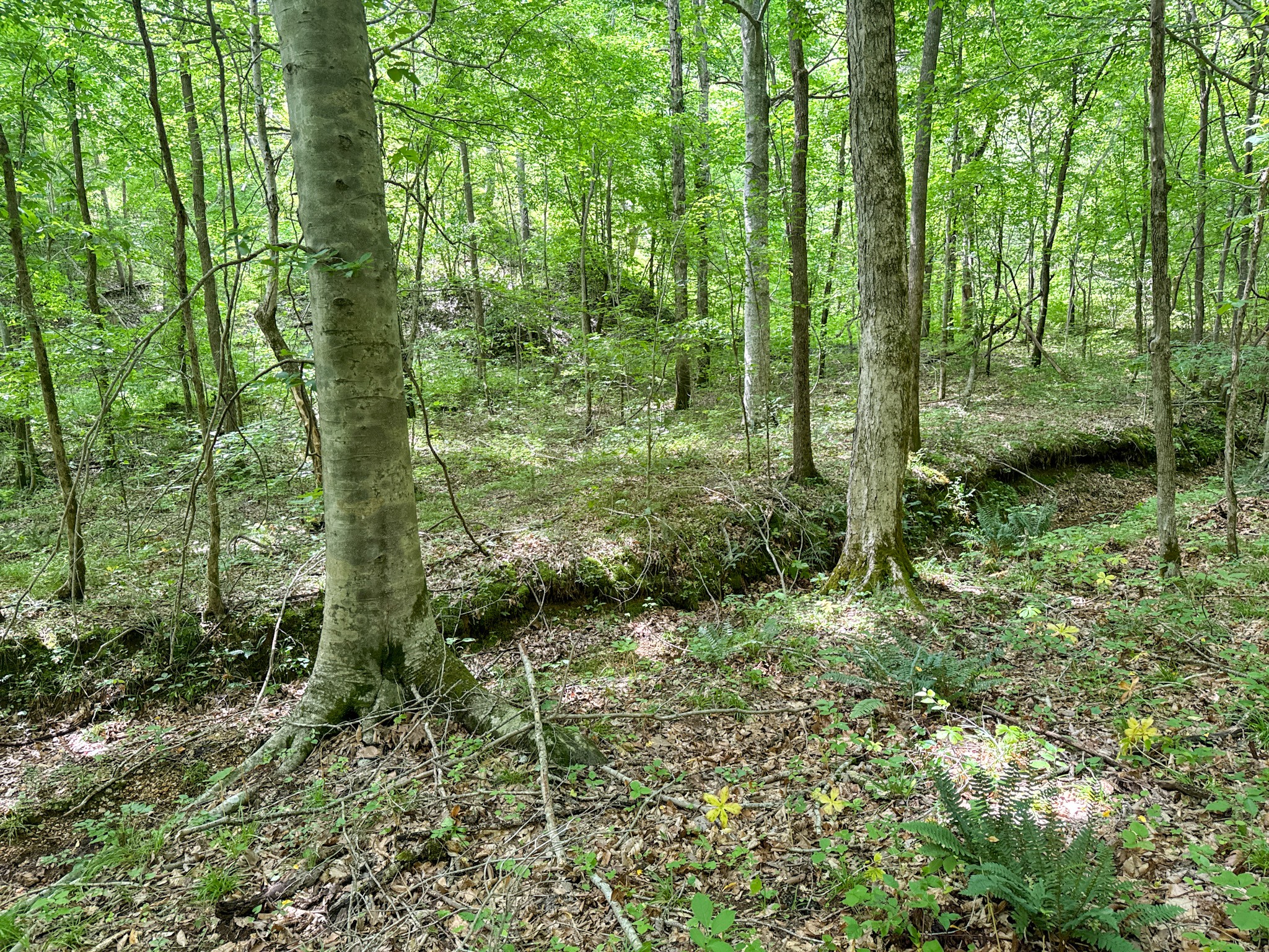 0 Highway 412 W Property Photo 40