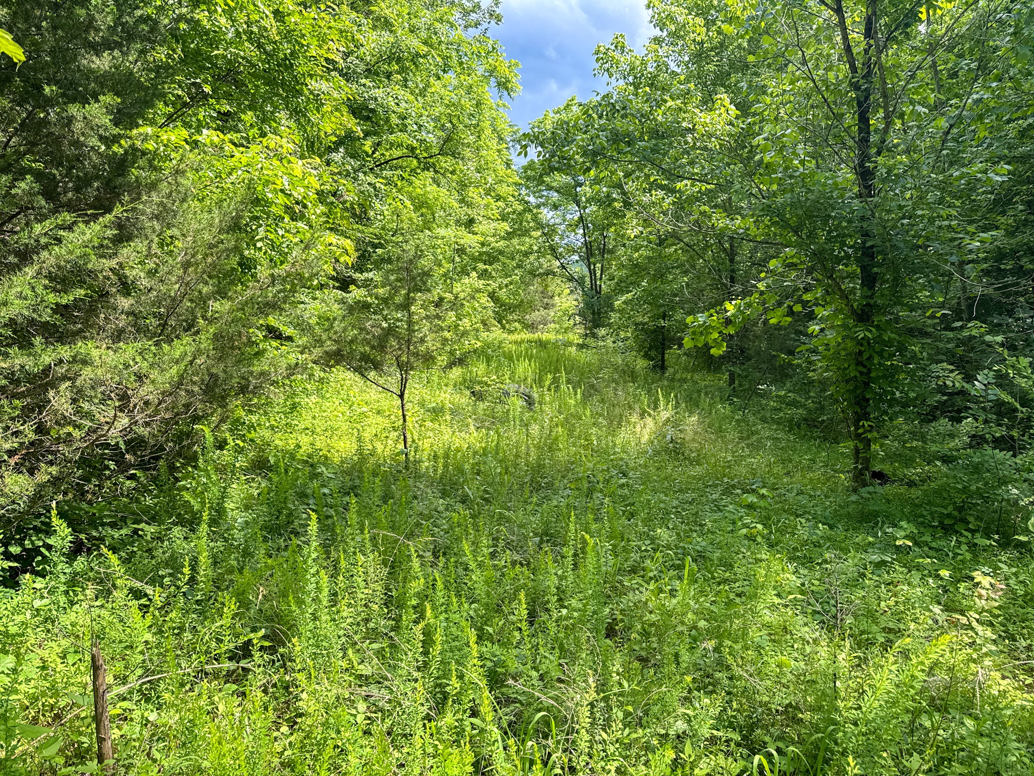 0 Highway 412 W Property Photo 45