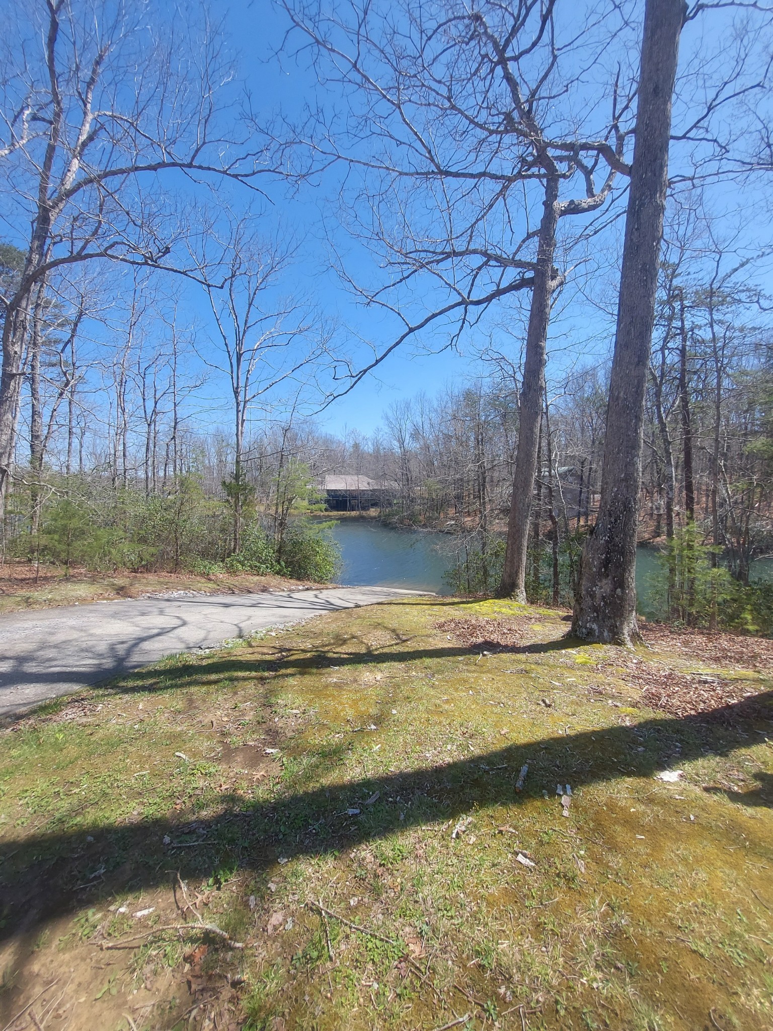 0 Rhonda Rd Property Photo 7