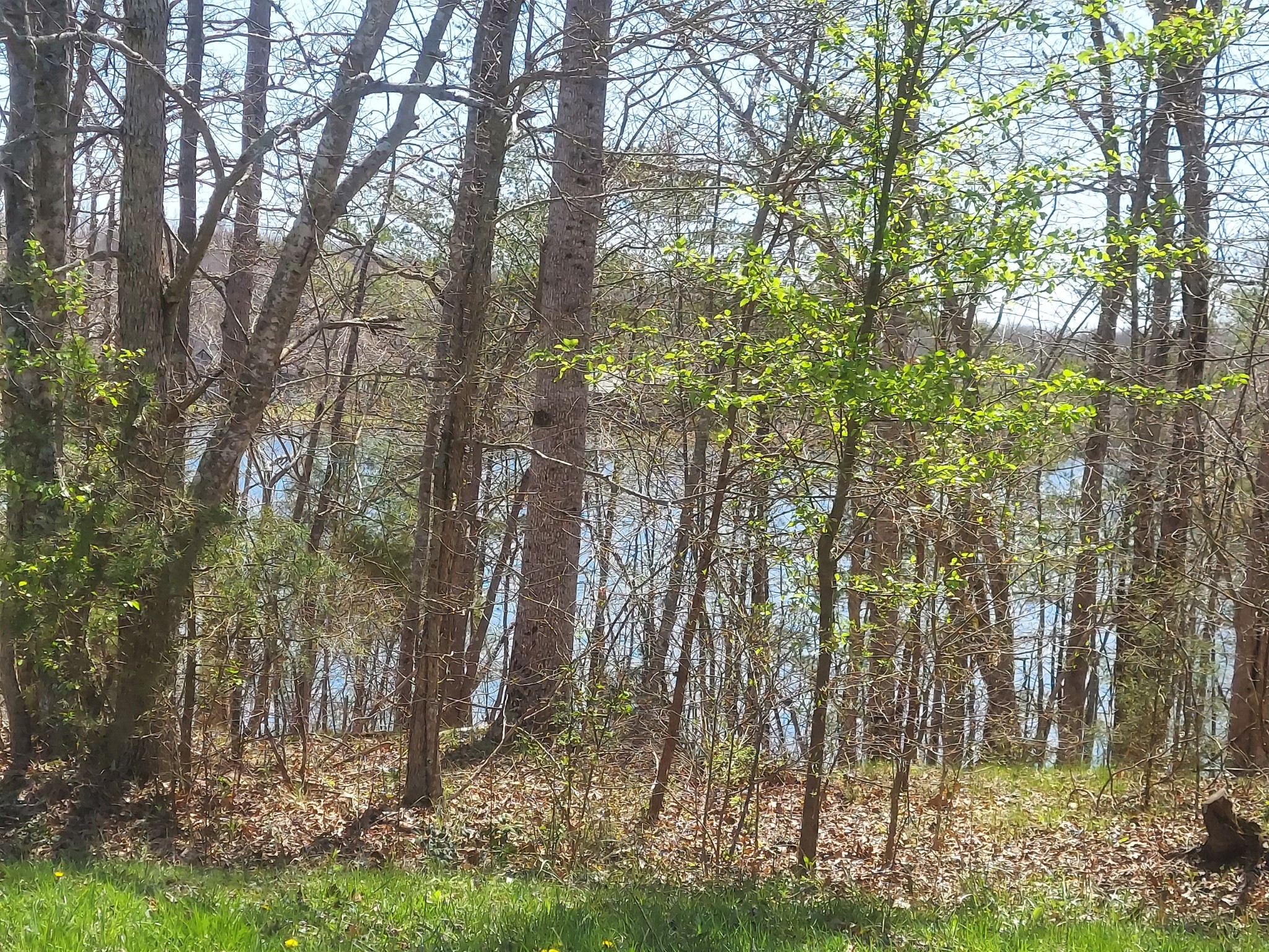 0 Rhonda Rd Property Photo 12