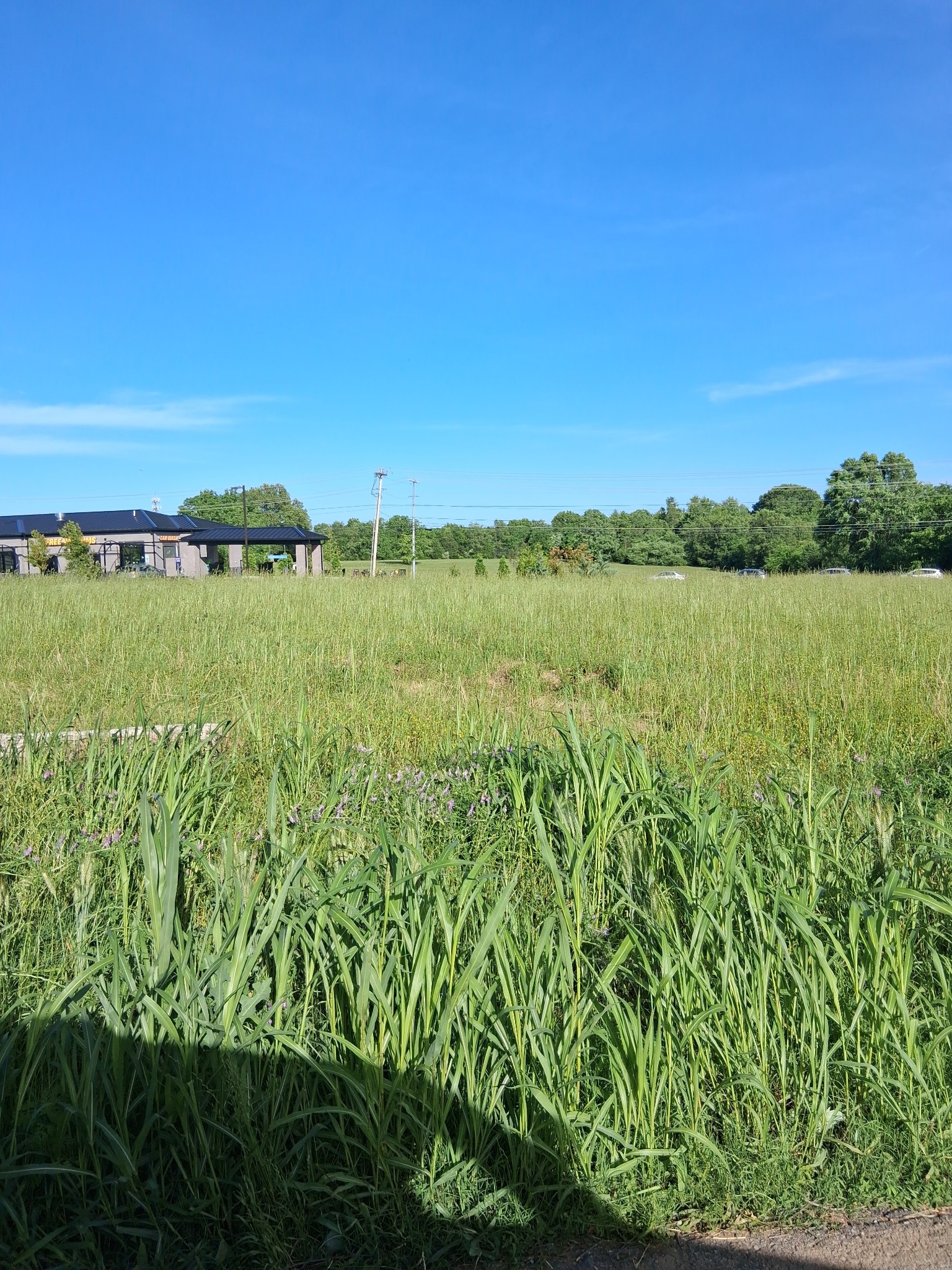569 New Shackle Island Rd Property Photo 2