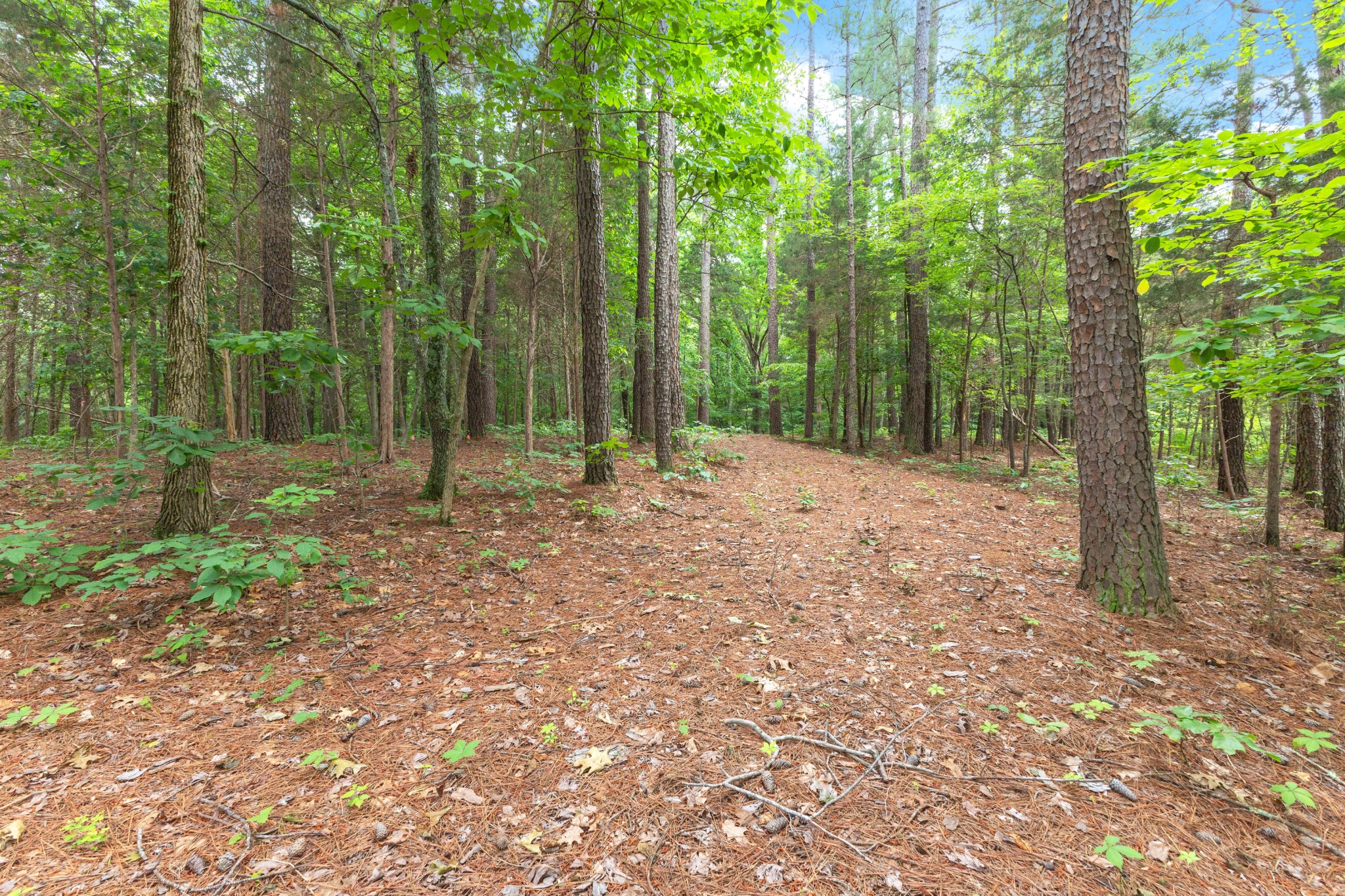 5082 Moorefield Rd Property Photo 1