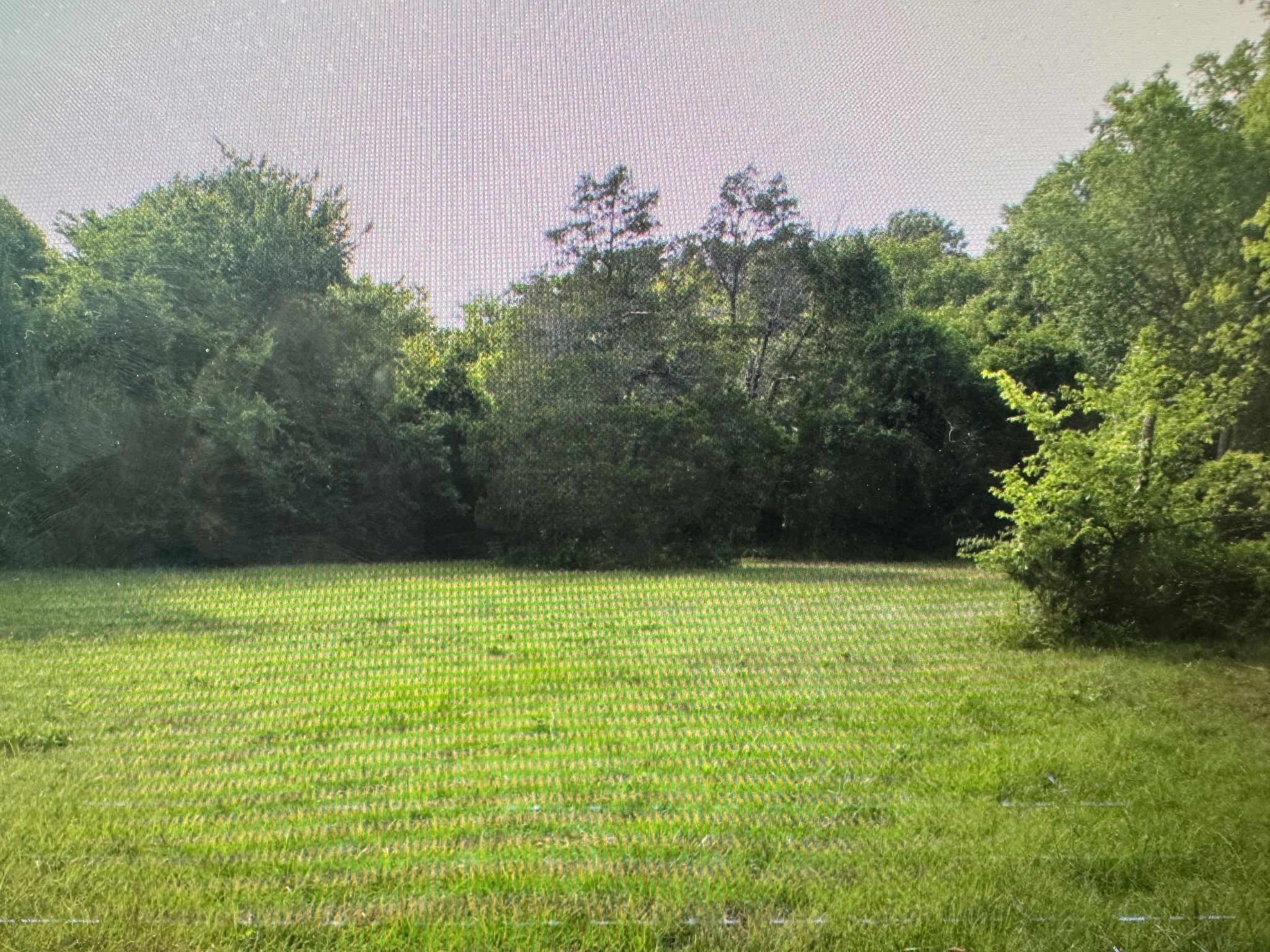 0 Round Hill Rd Property Photo