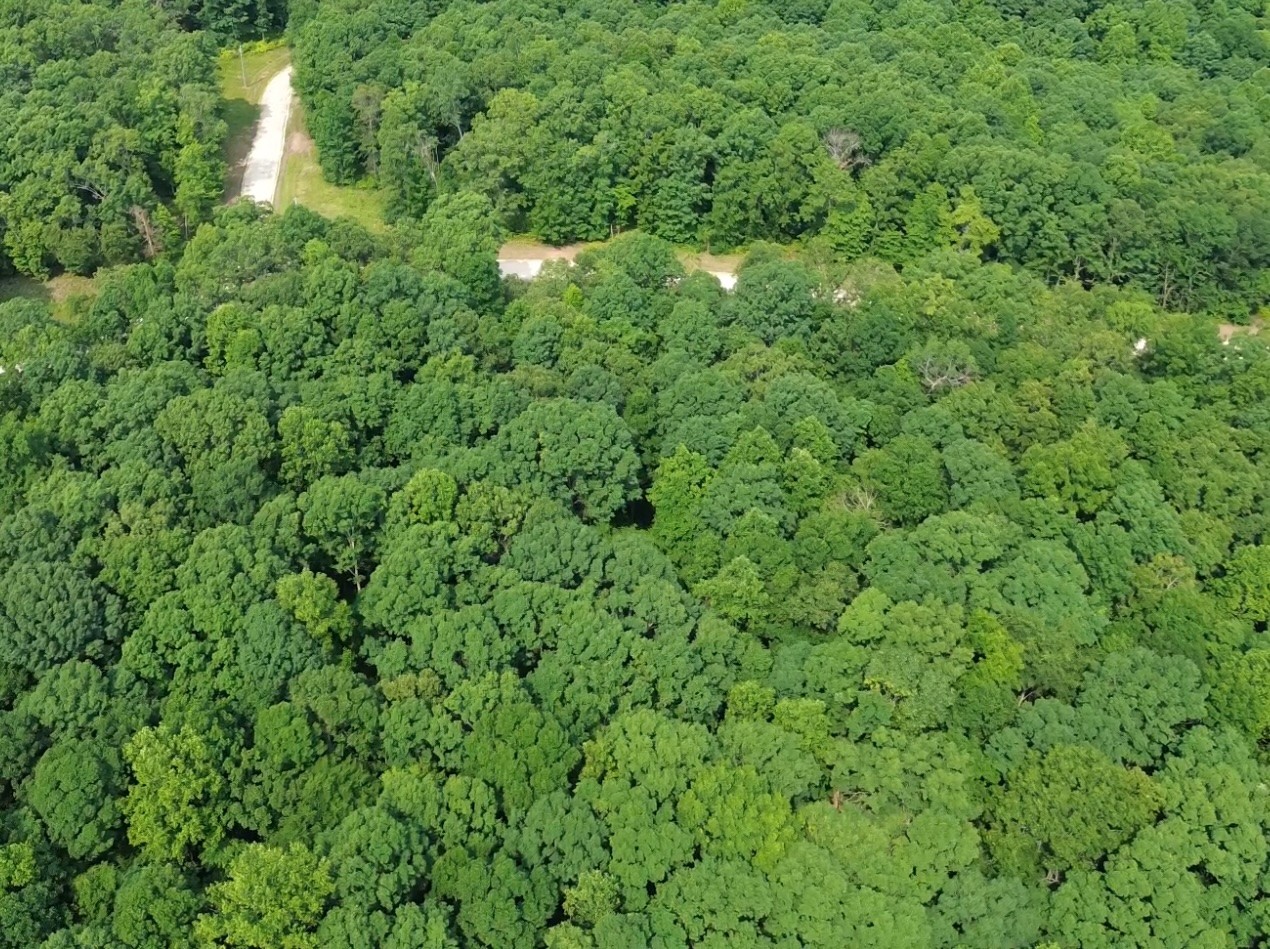 0 Owl Circle Property Photo 5