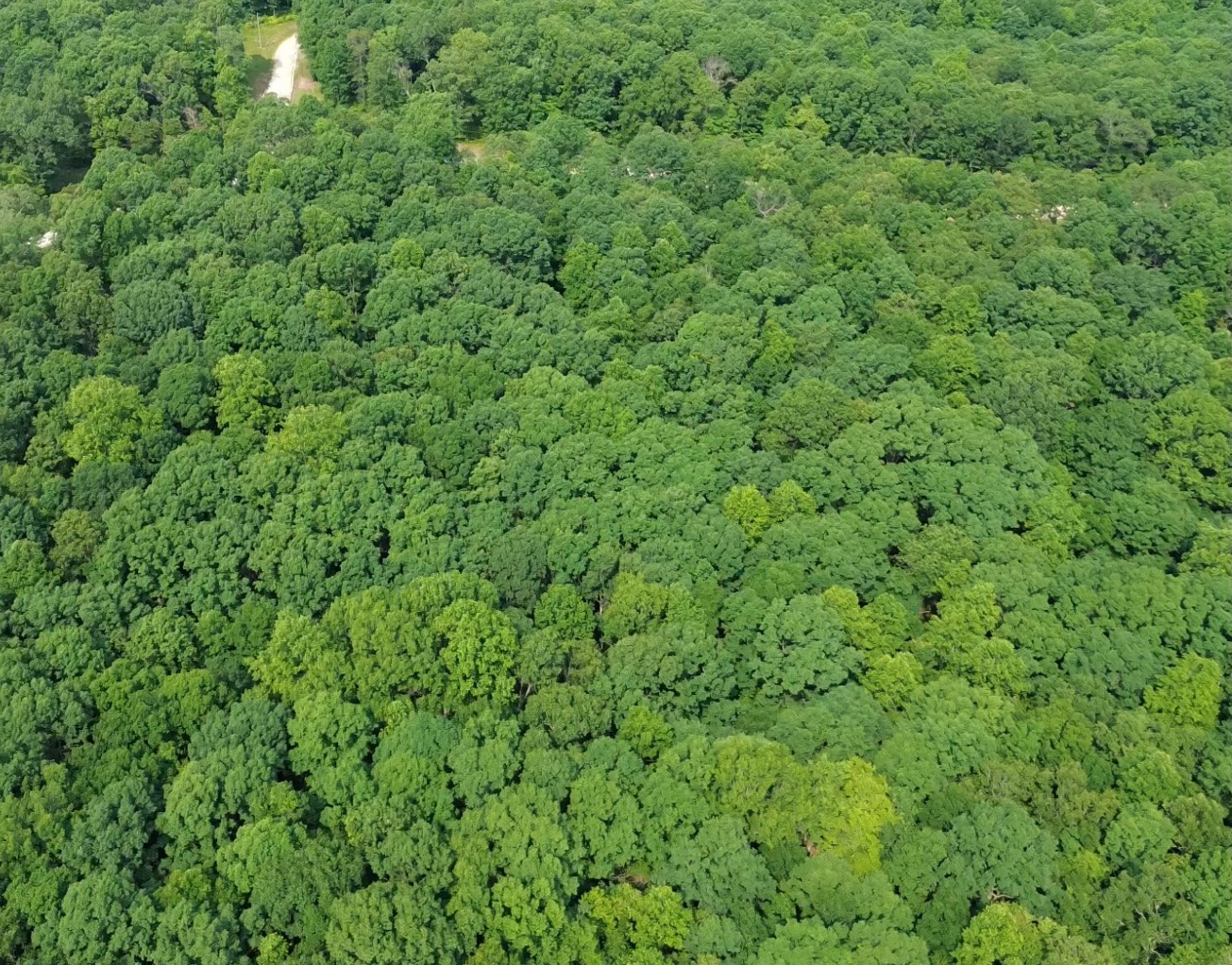 0 Owl Circle Property Photo 6