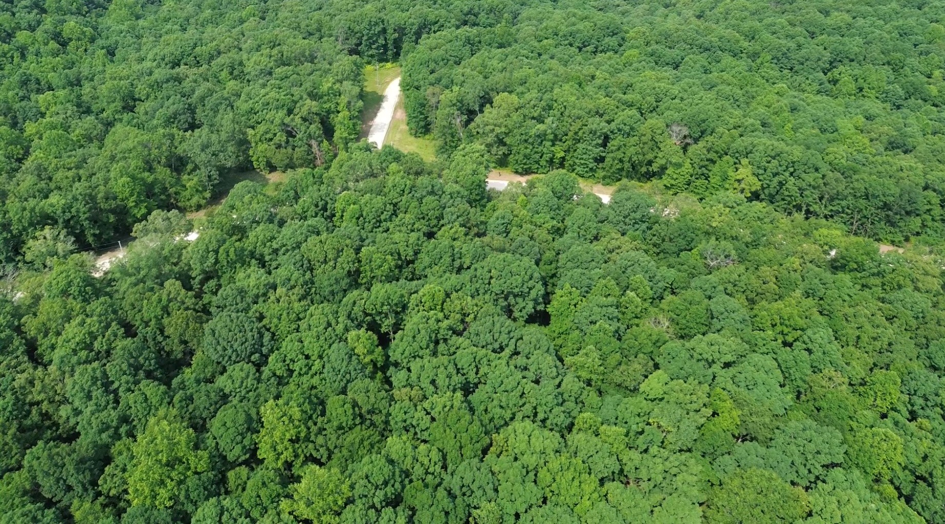 0 Owl Circle Property Photo 7