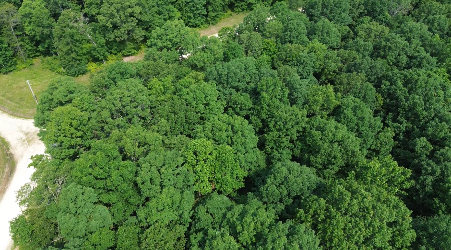 0 Owl Circle Property Photo 8