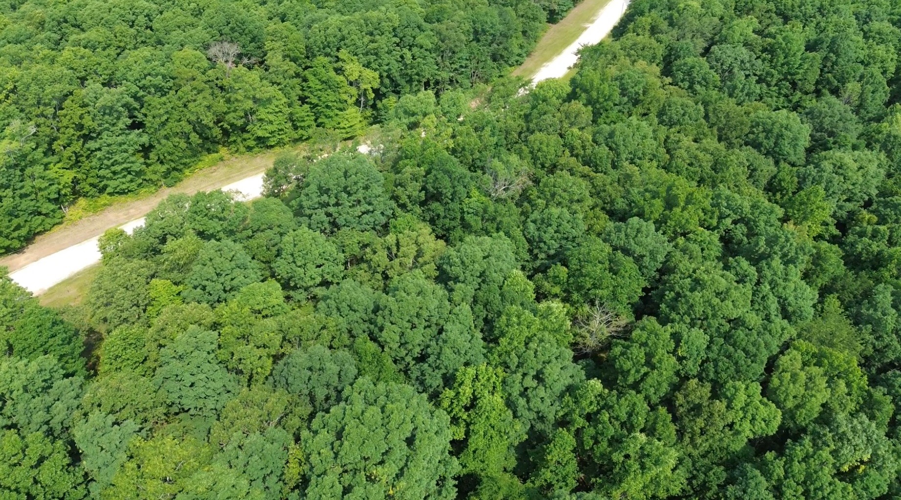 0 Owl Circle Property Photo 9