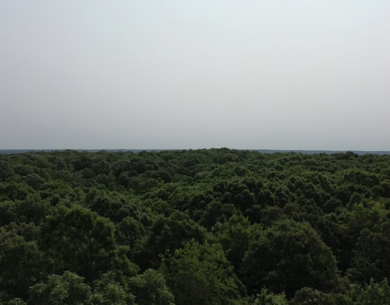 0 Owl Circle Property Photo 10
