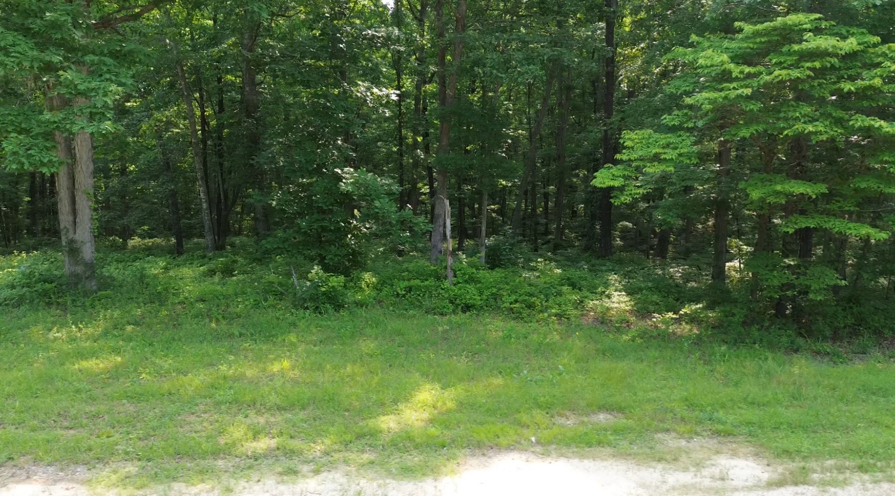 0 Owl Circle Property Photo 11