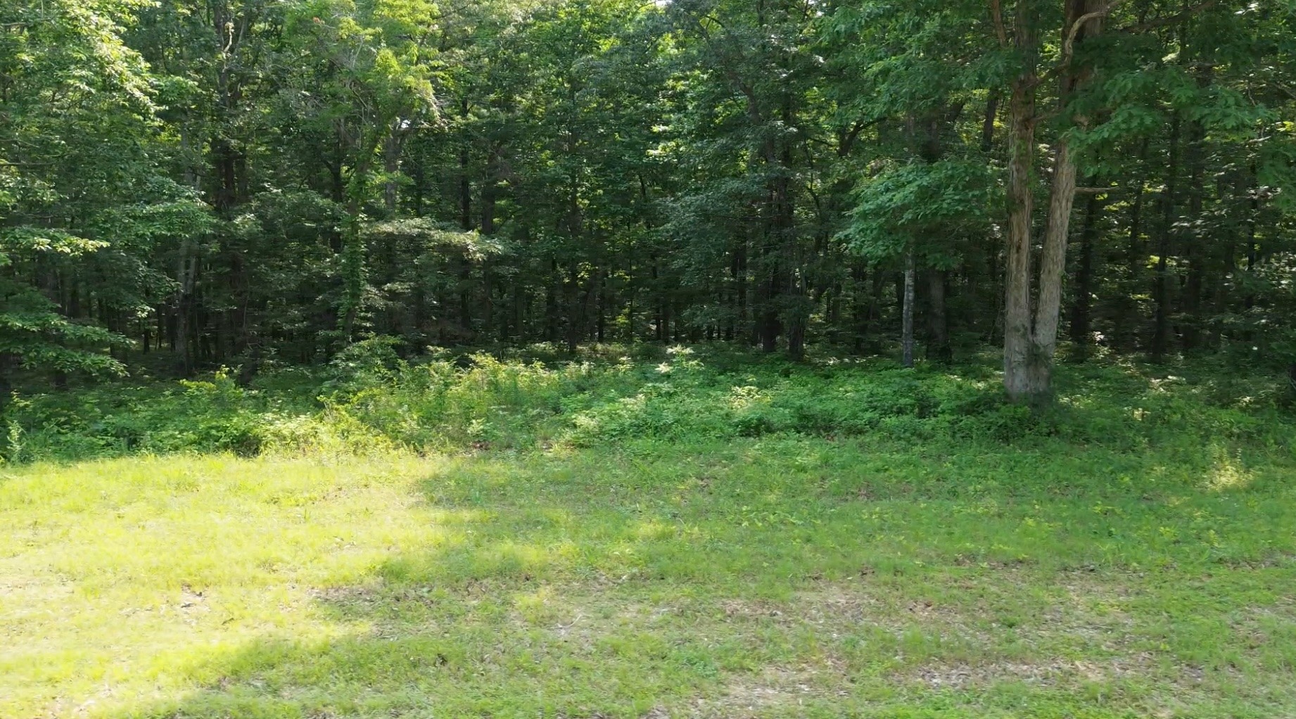 0 Owl Circle Property Photo 12